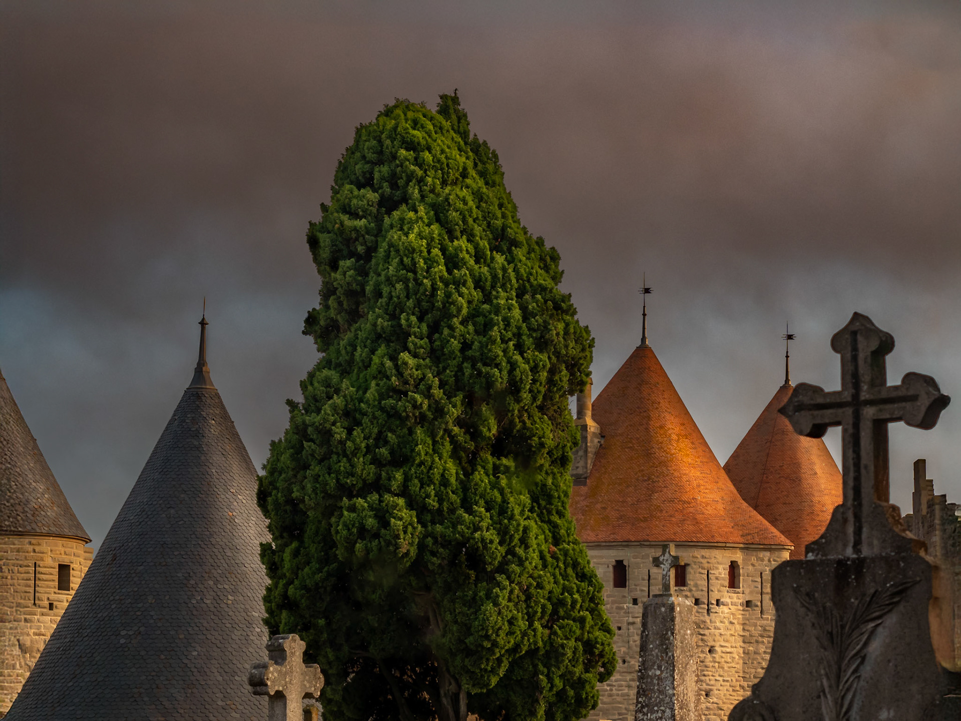 Ramparts de Carcassonne