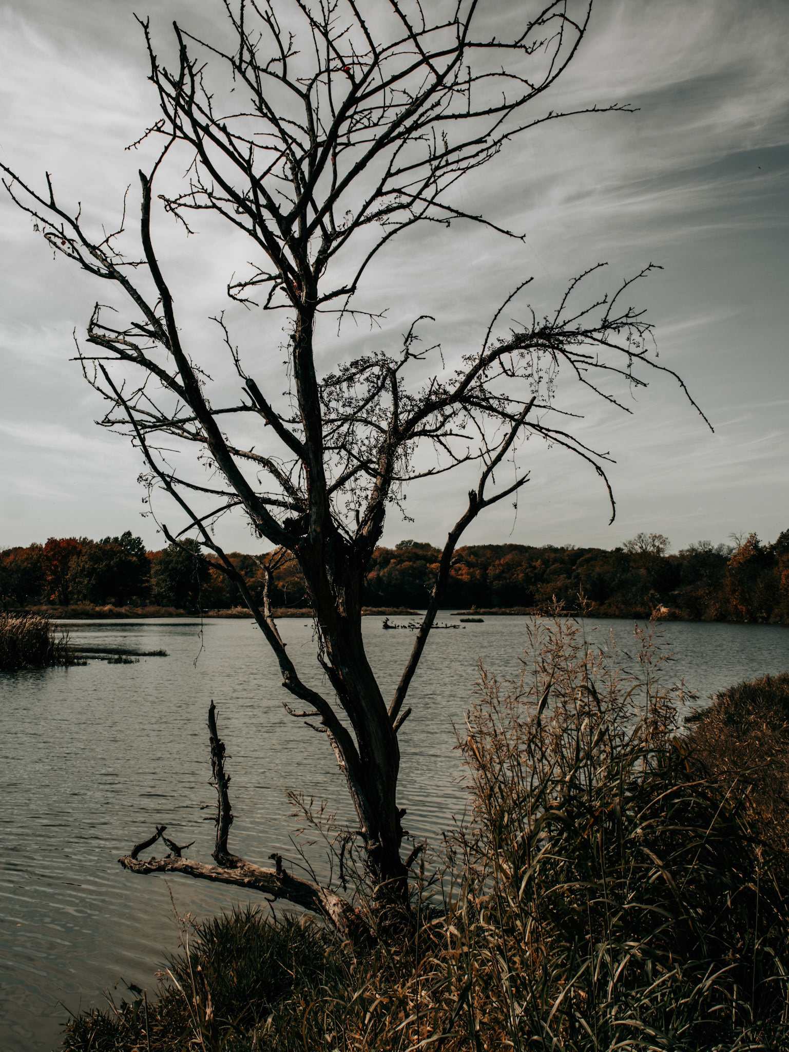 Lake Olathe