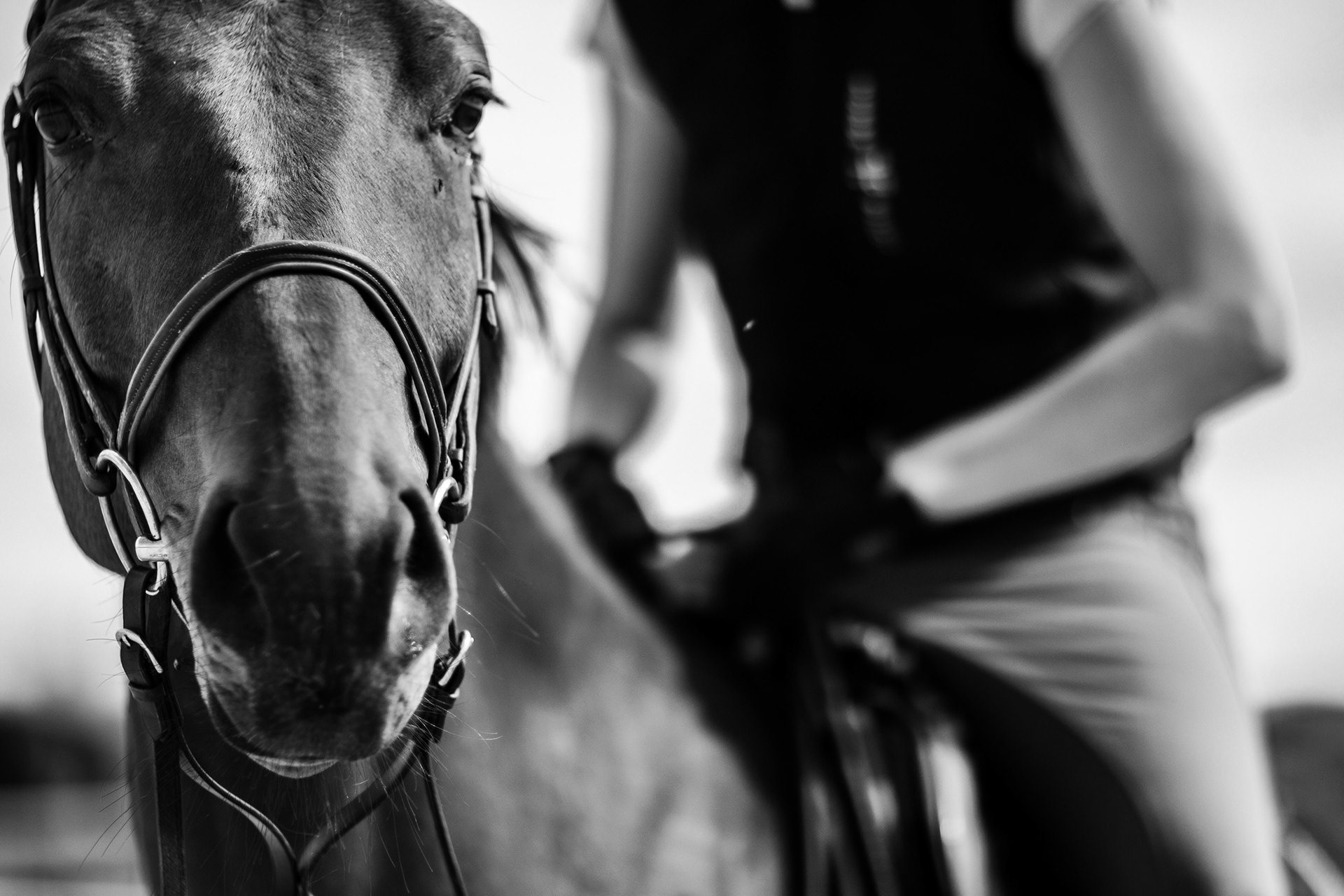 Shooting Lifetsyle Equestre