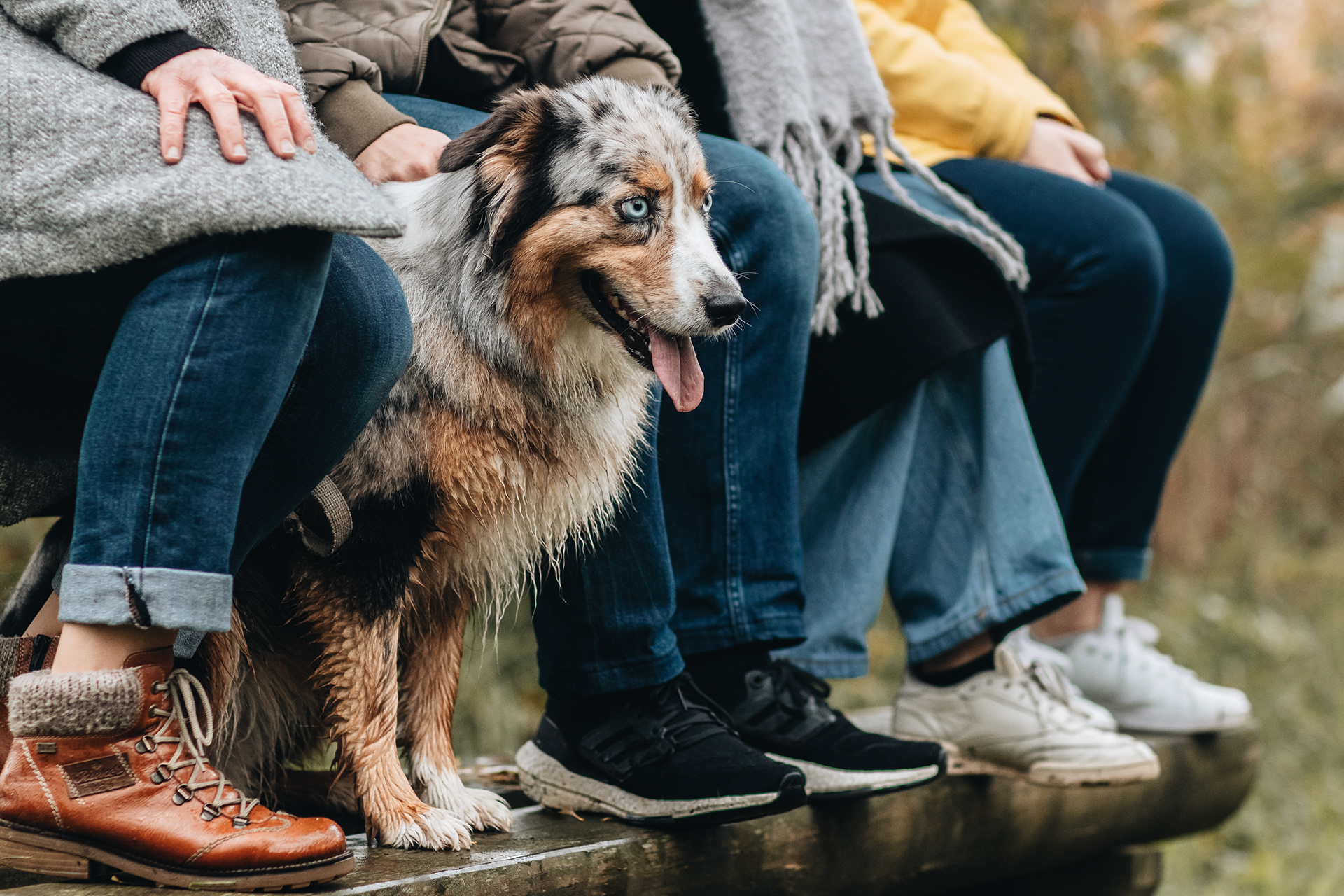 Lifestyle Famille - Tout animal est la bienvenue