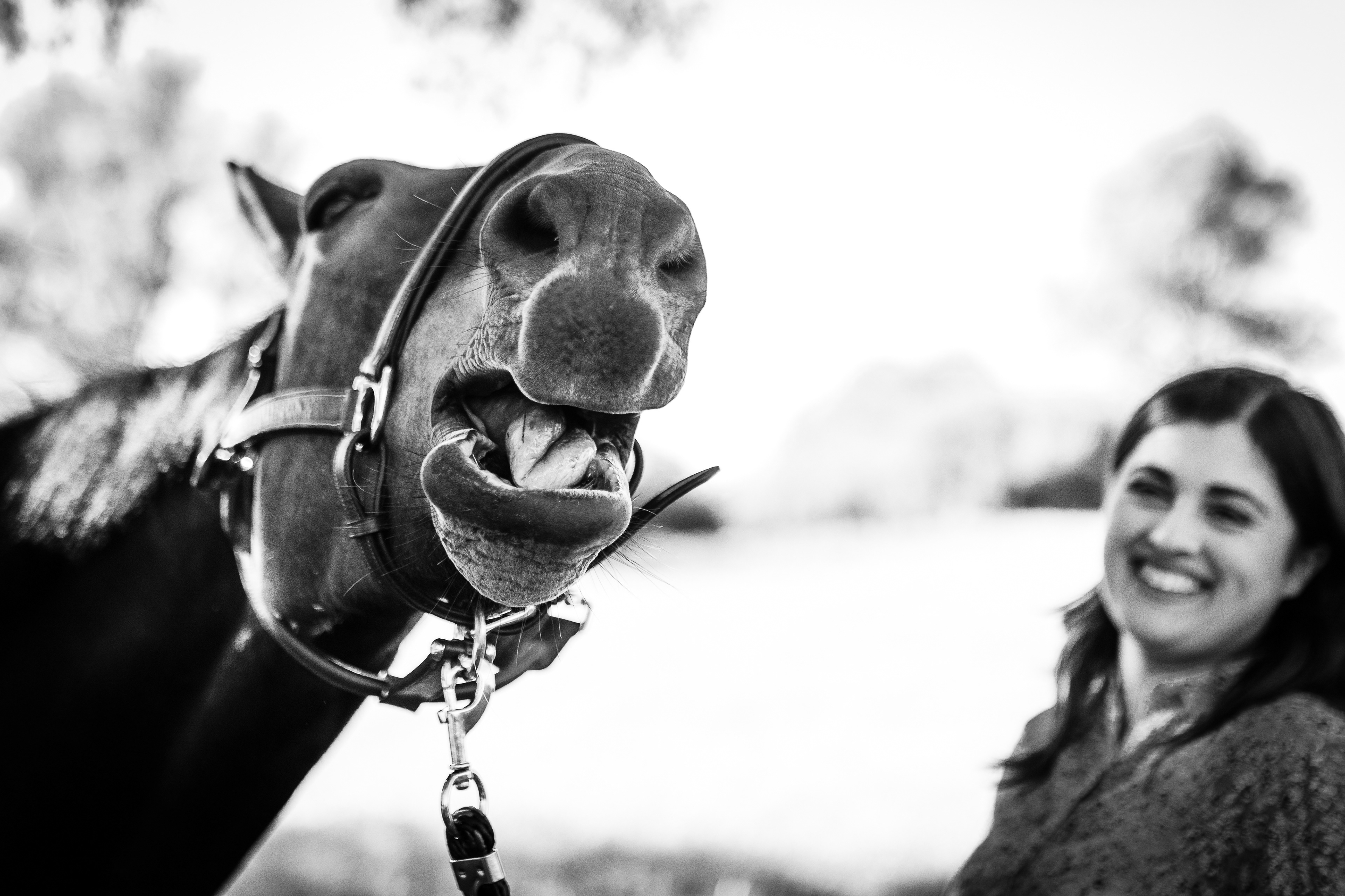 Lifestyle équestre - Petite grimace de poney