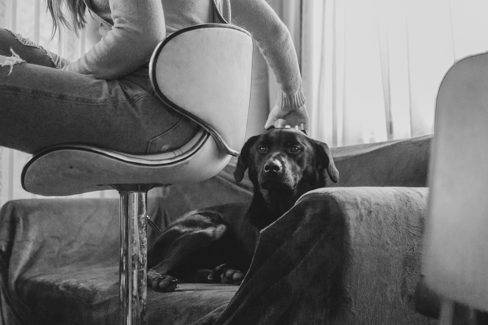 Lifestyle couple animaux - Love&theDog