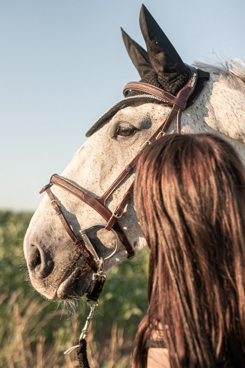 Caroline et Hélico à l'écurie Anstett Juin 2020 Reitwiller Juin 2020