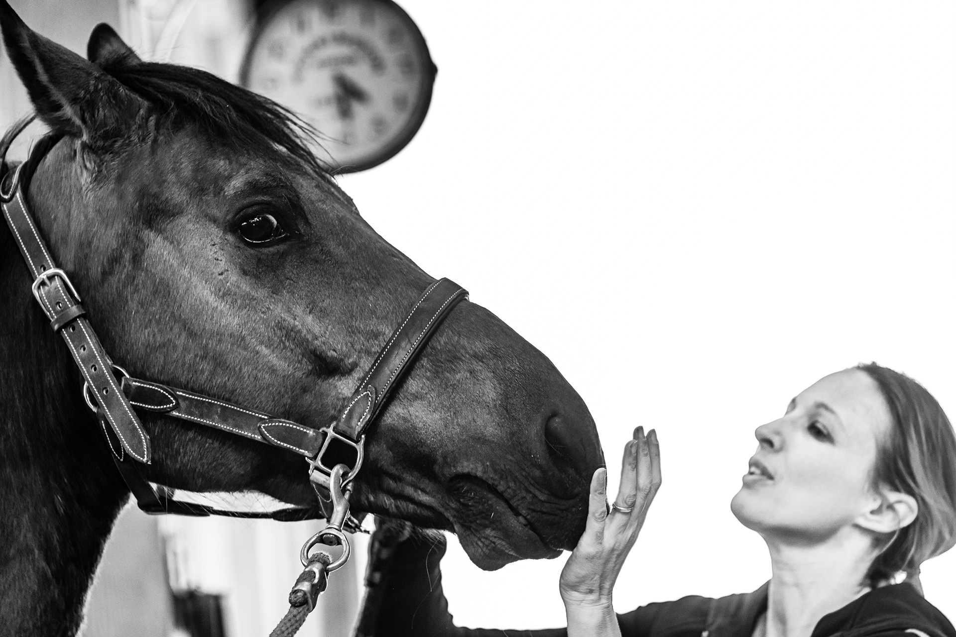 Shooting Lifetsyle Equestre