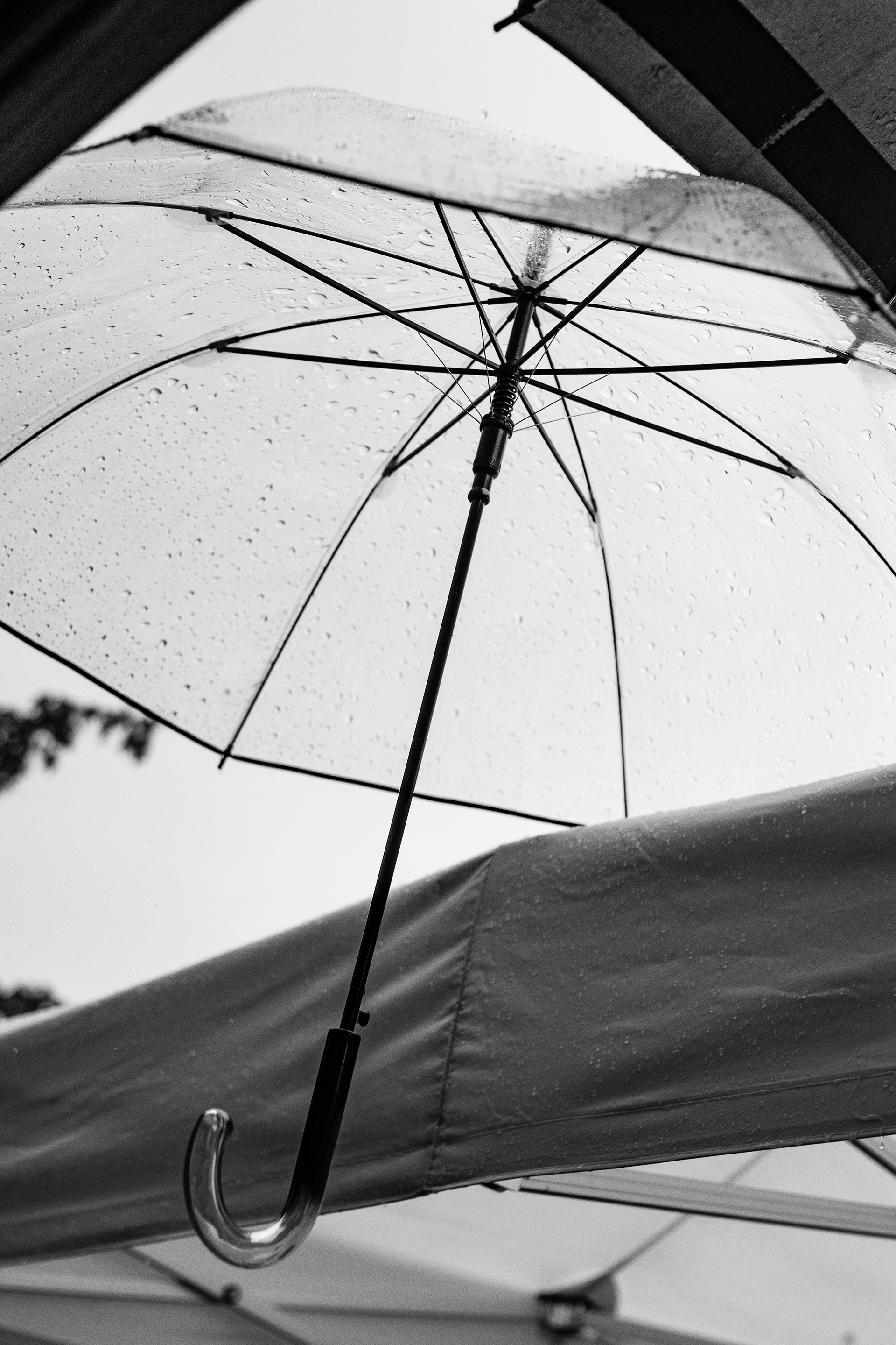 Photos cocktail mariage - Alsace