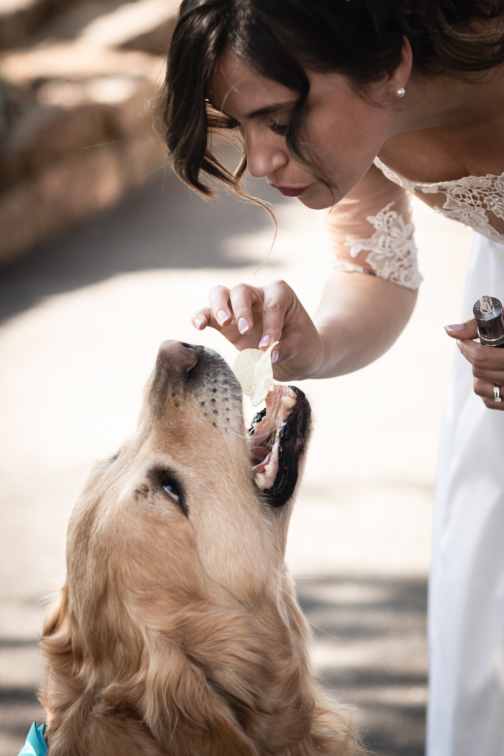 Le Doudou de la mariée