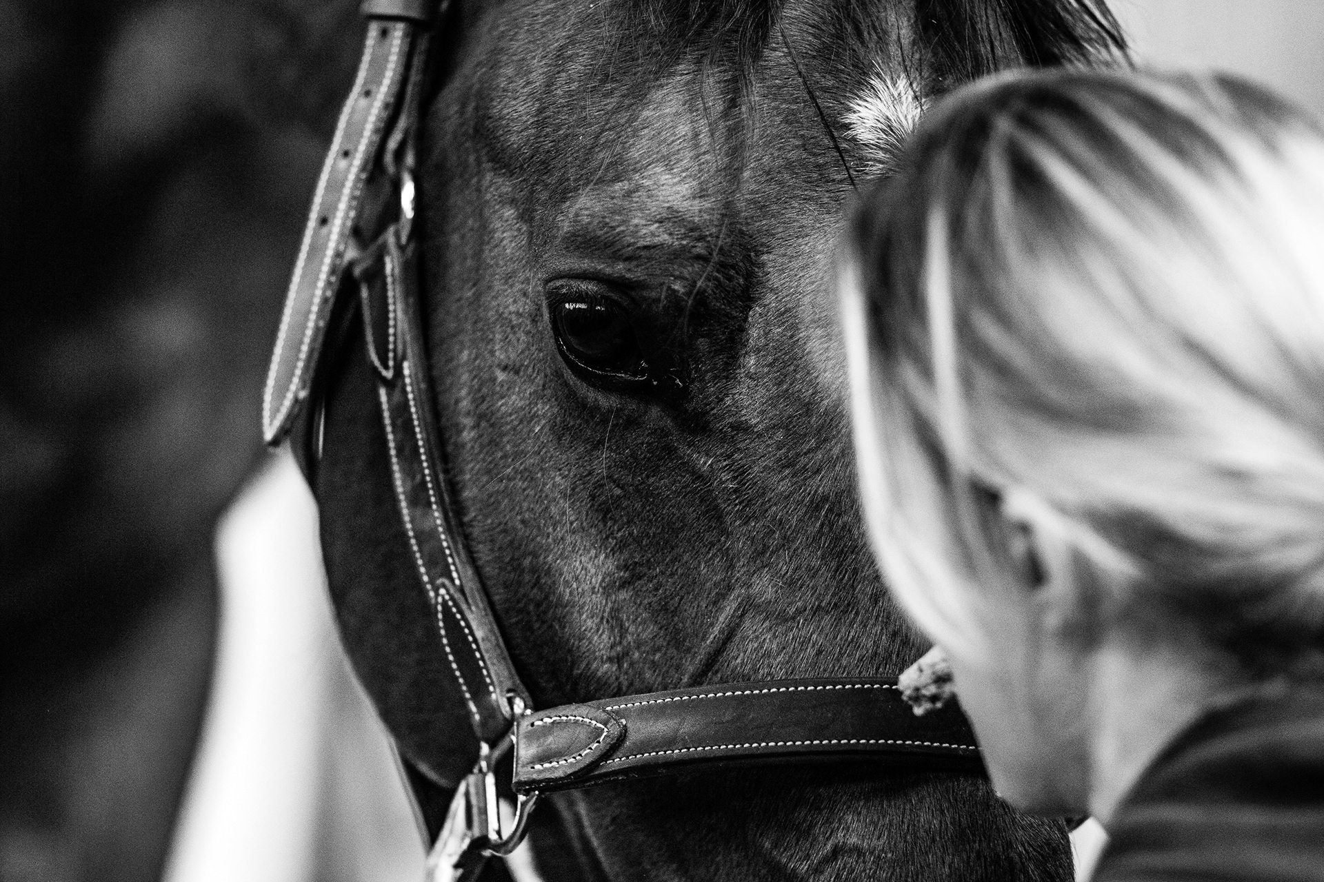 Shooting Lifetsyle Equestre