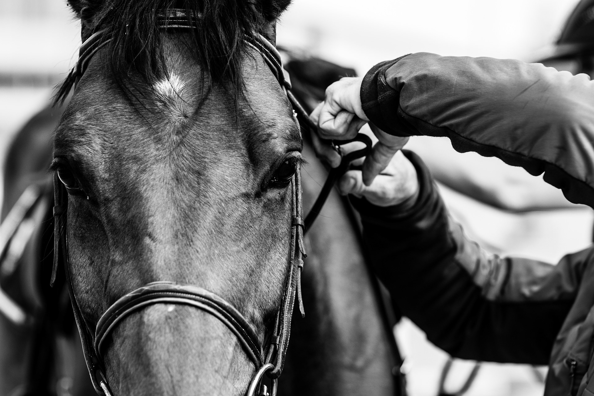 Shooting Lifetsyle Equestre