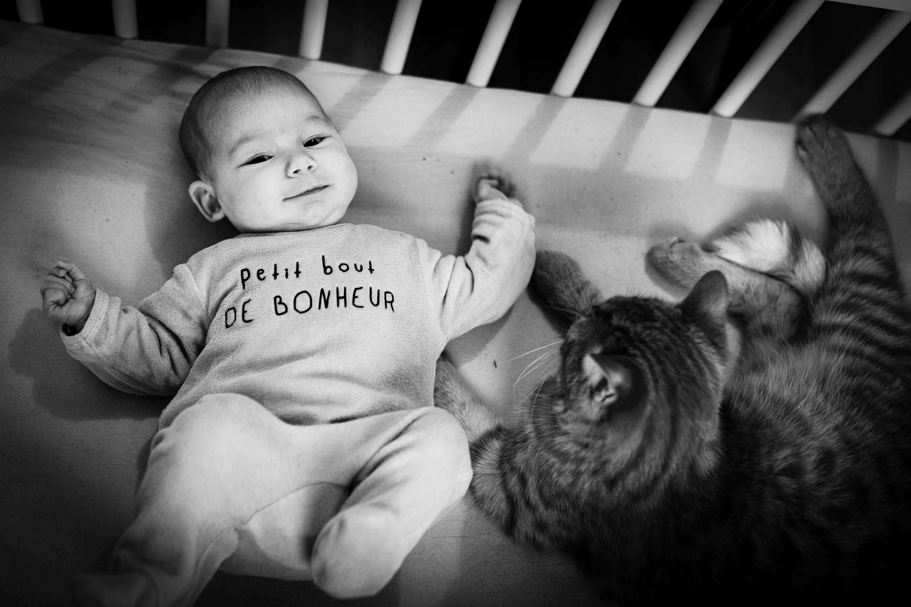 Lifestyle naissance - Avec le chat ! Again