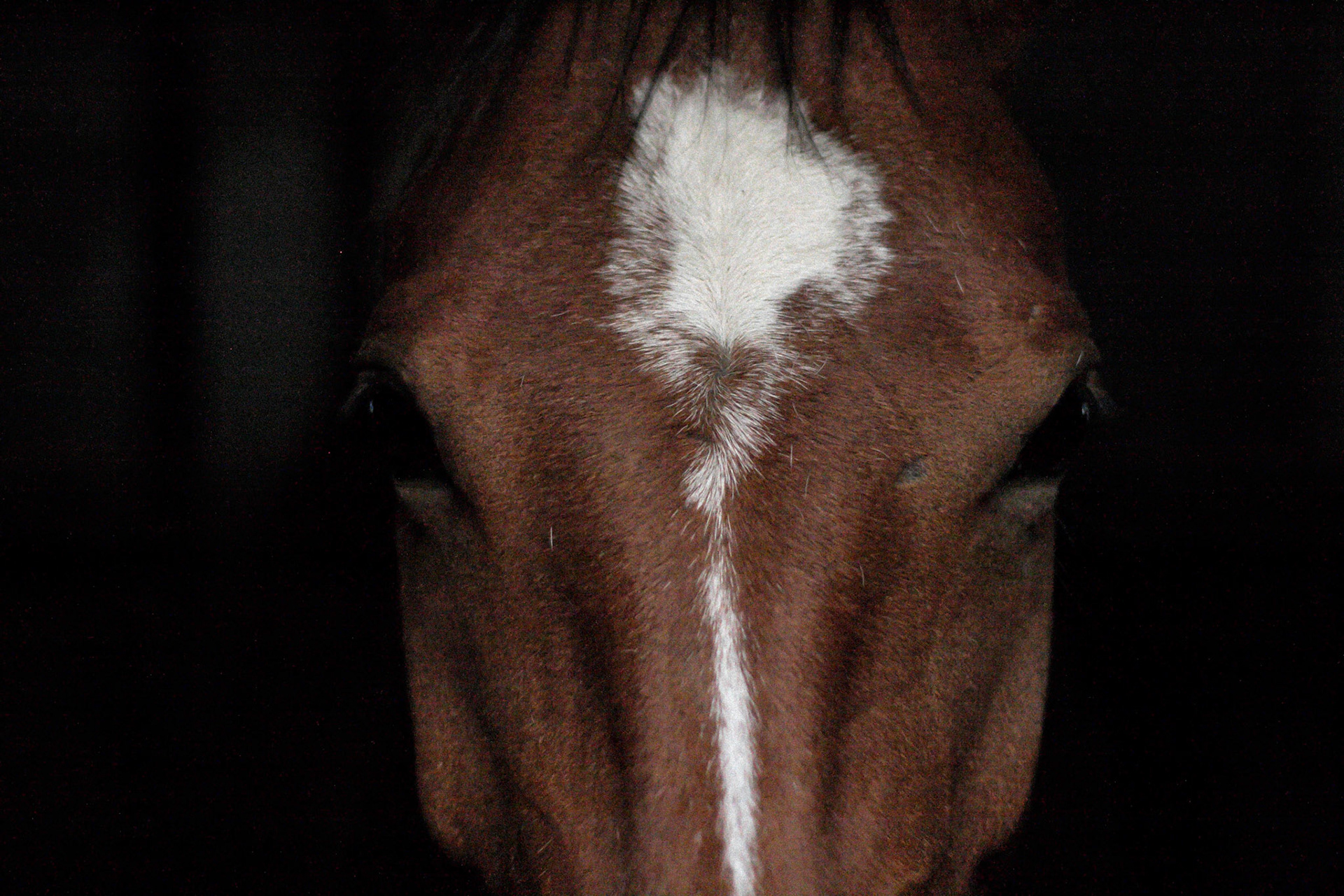 Regard d'une Maman