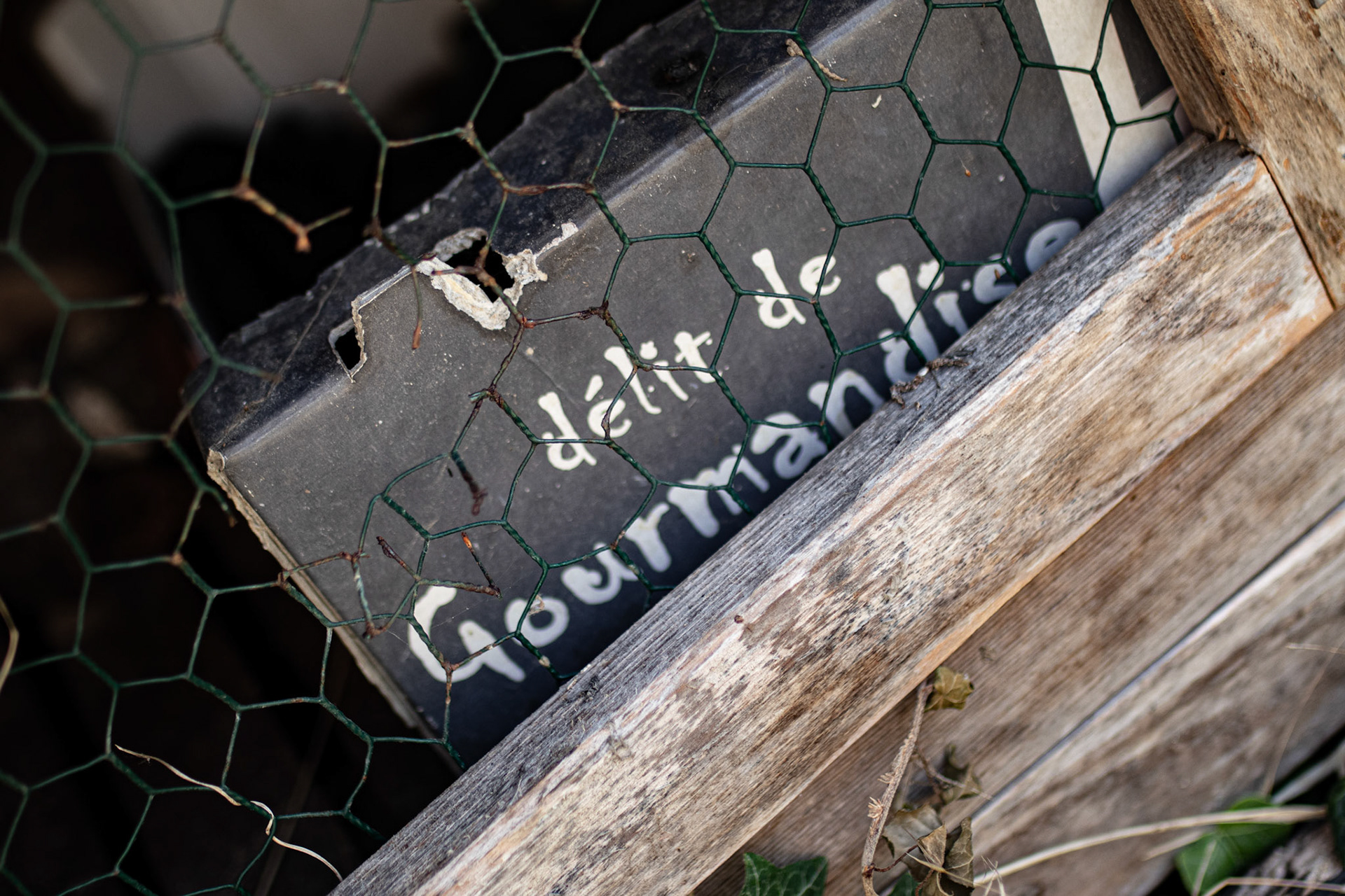 cage à lapin gourmande