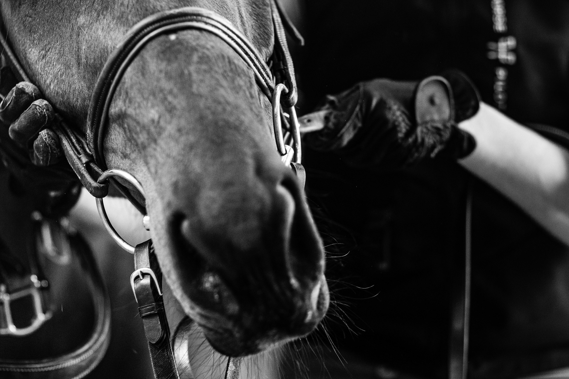Shooting Lifetsyle Equestre