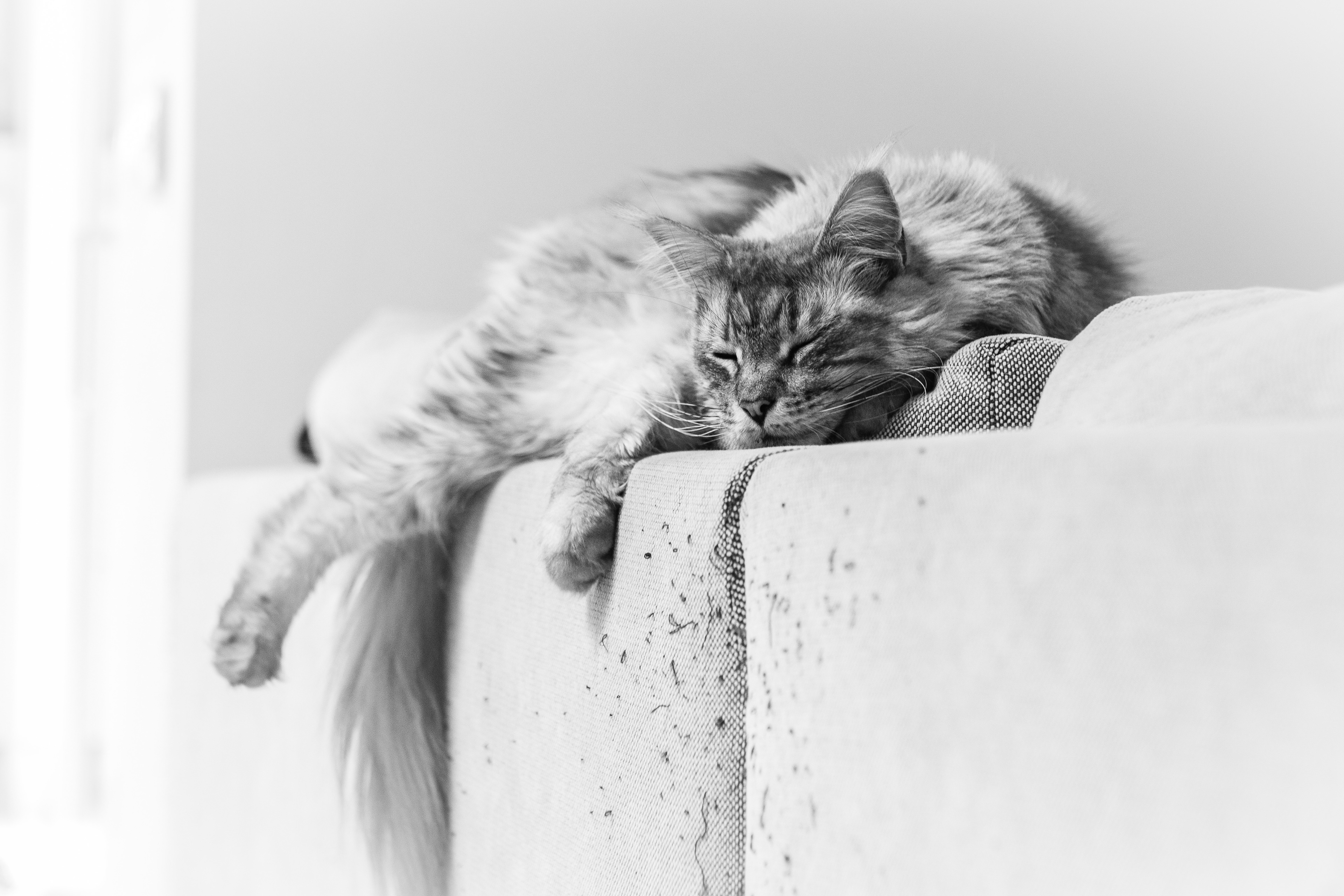 Séance Lifestyle en famille
