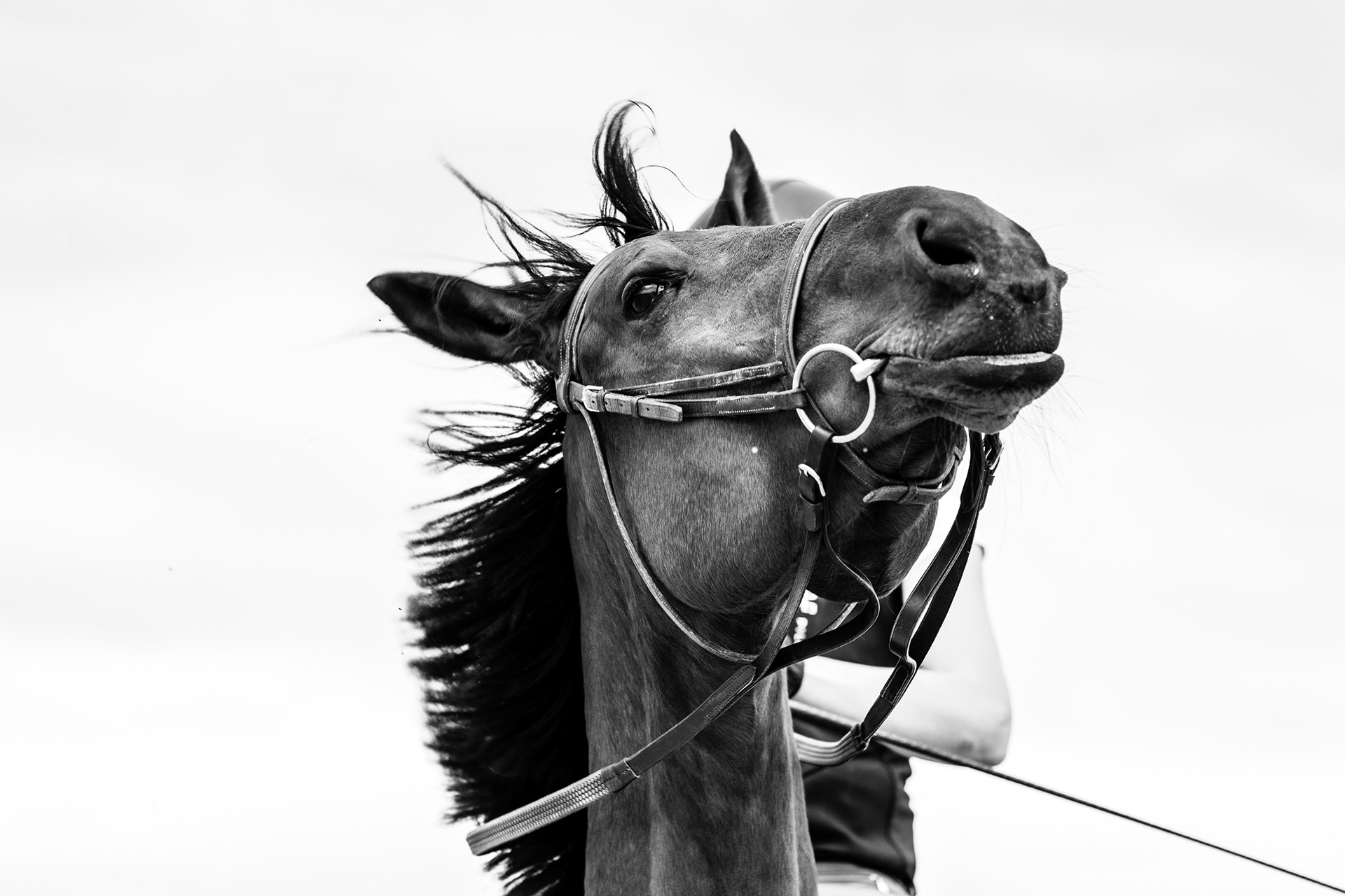 Shooting Lifetsyle Equestre