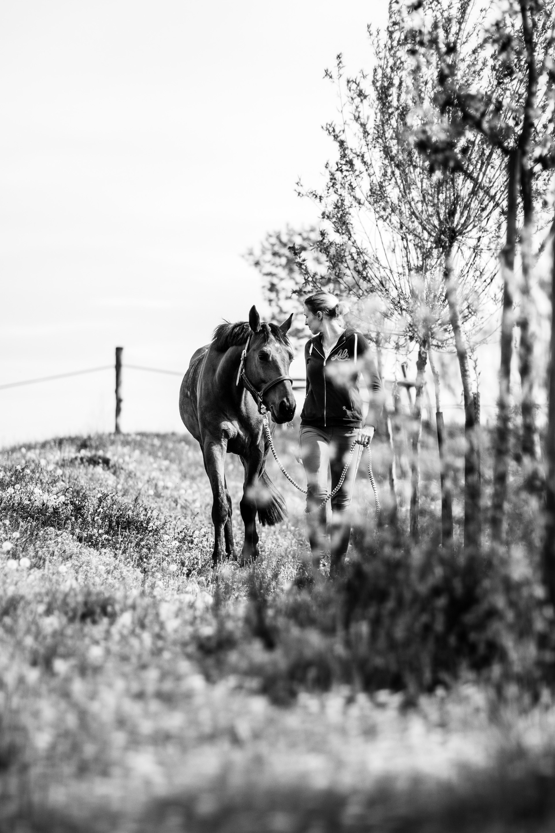 Shooting Lifetsyle Equestre