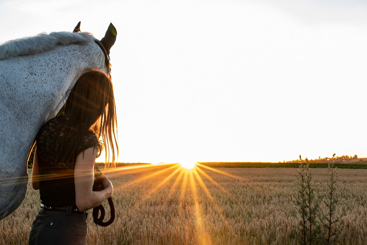 Caroline et Hélico à l'écurie Anstett Juin 2020 Reitwiller Juin 2020