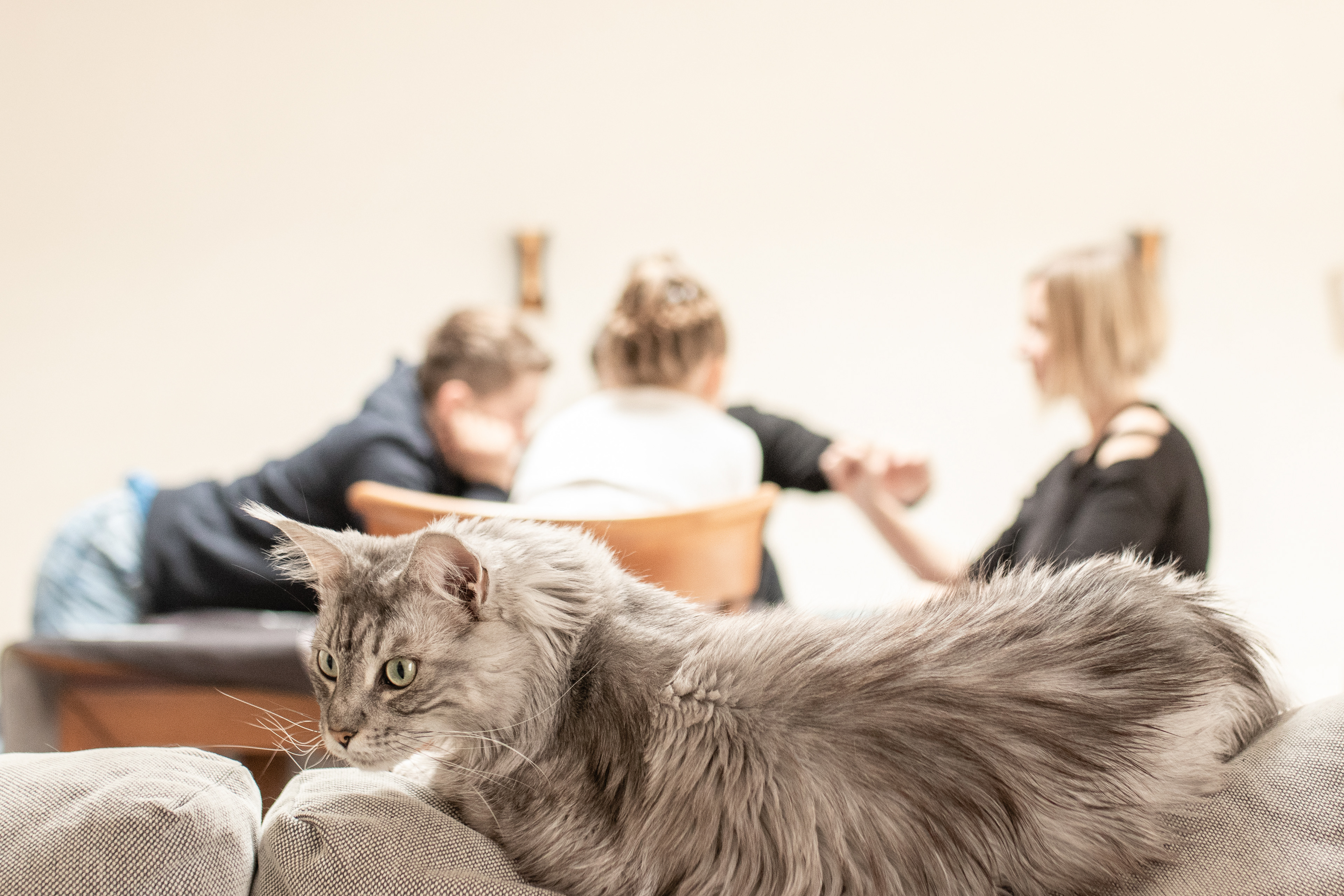 Séance Lifestyle en famille