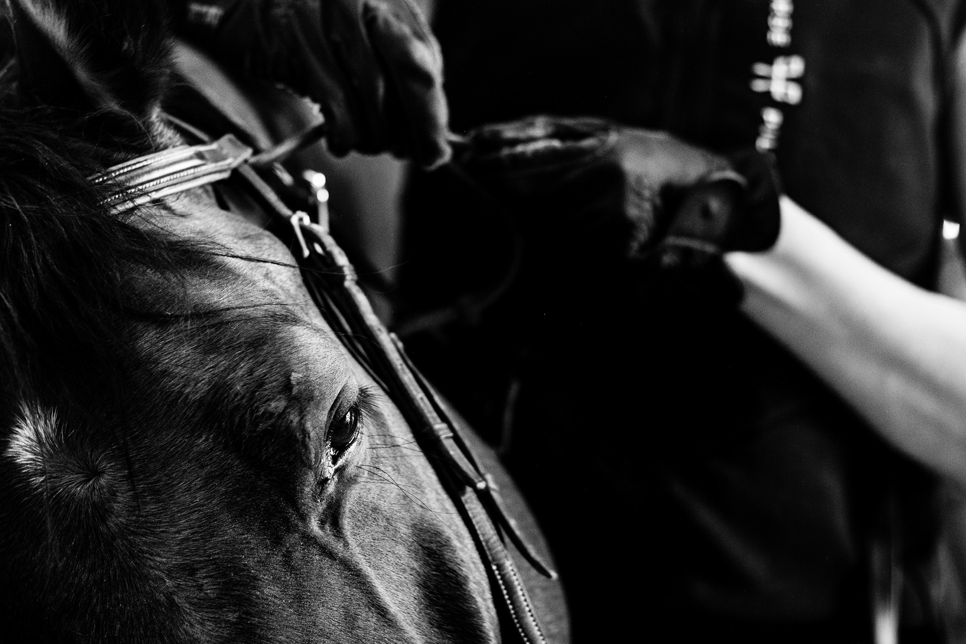 Shooting Lifetsyle Equestre