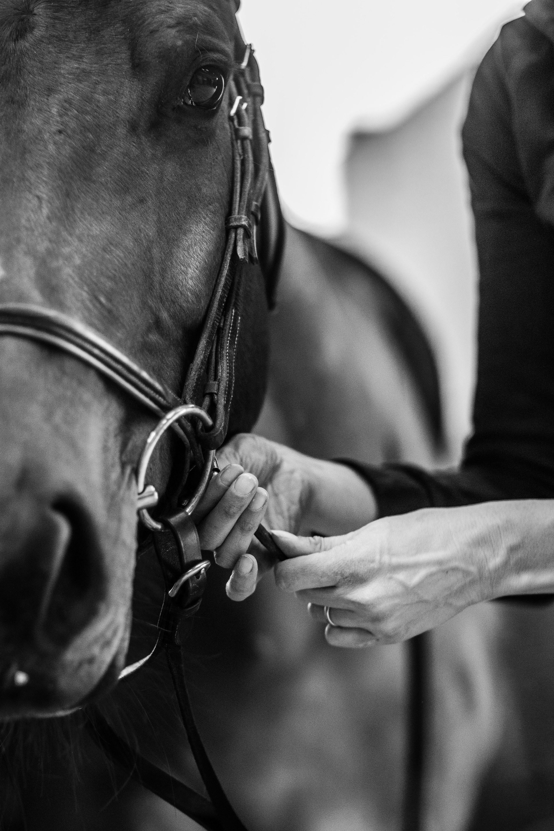 Shooting Lifetsyle Equestre