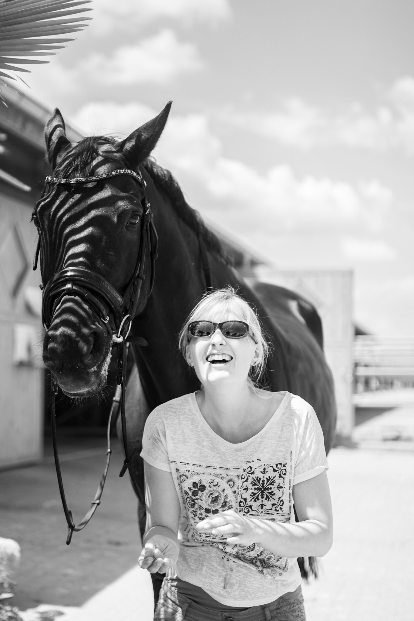 Eclat de rire de cavalière