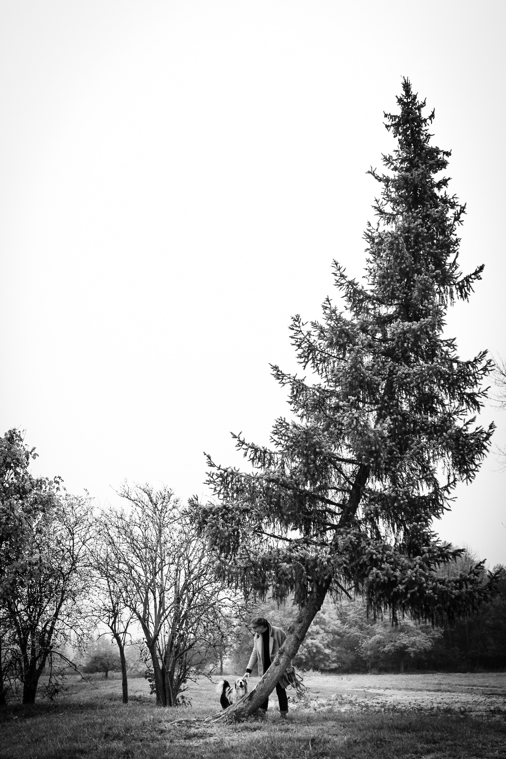 Lifestyle Famille et son arbre tordu