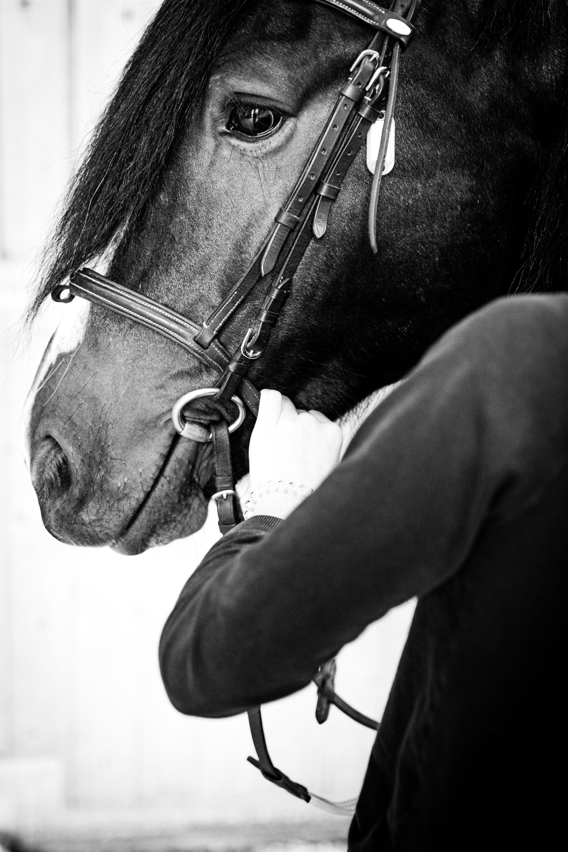 Shooting lifestyle équestre