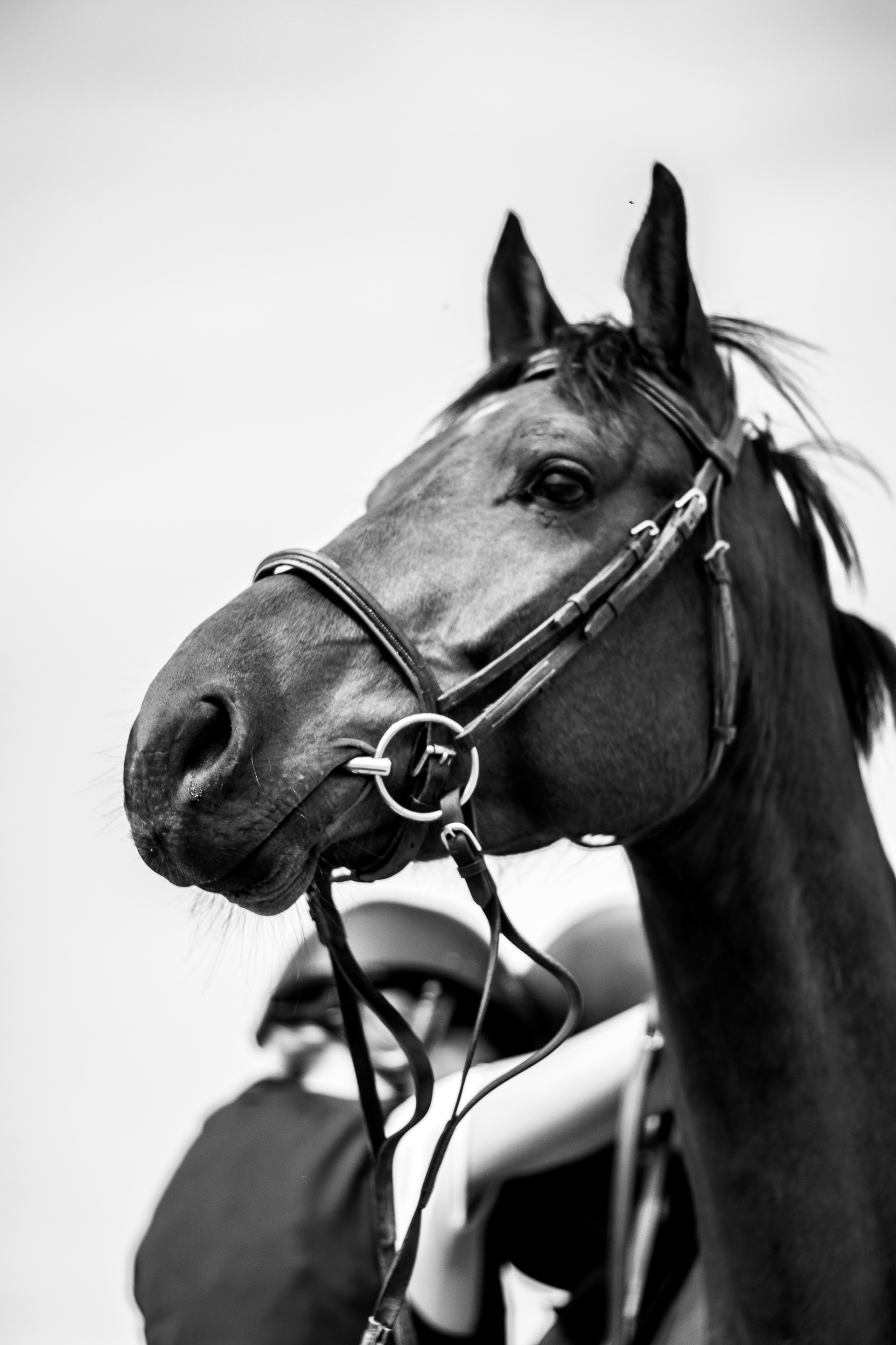 Shooting Lifetsyle Equestre