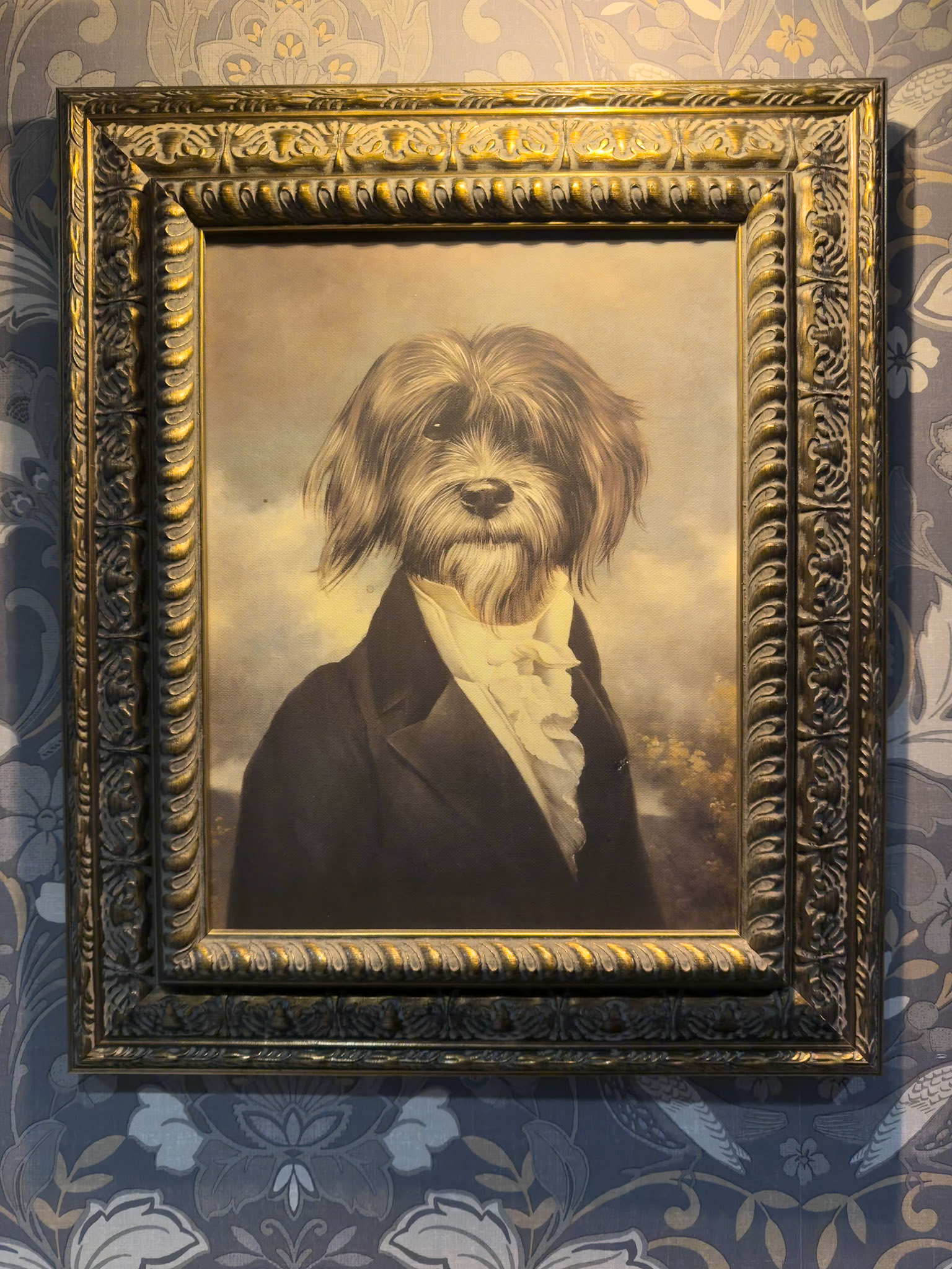 The Hayden Notting Hill