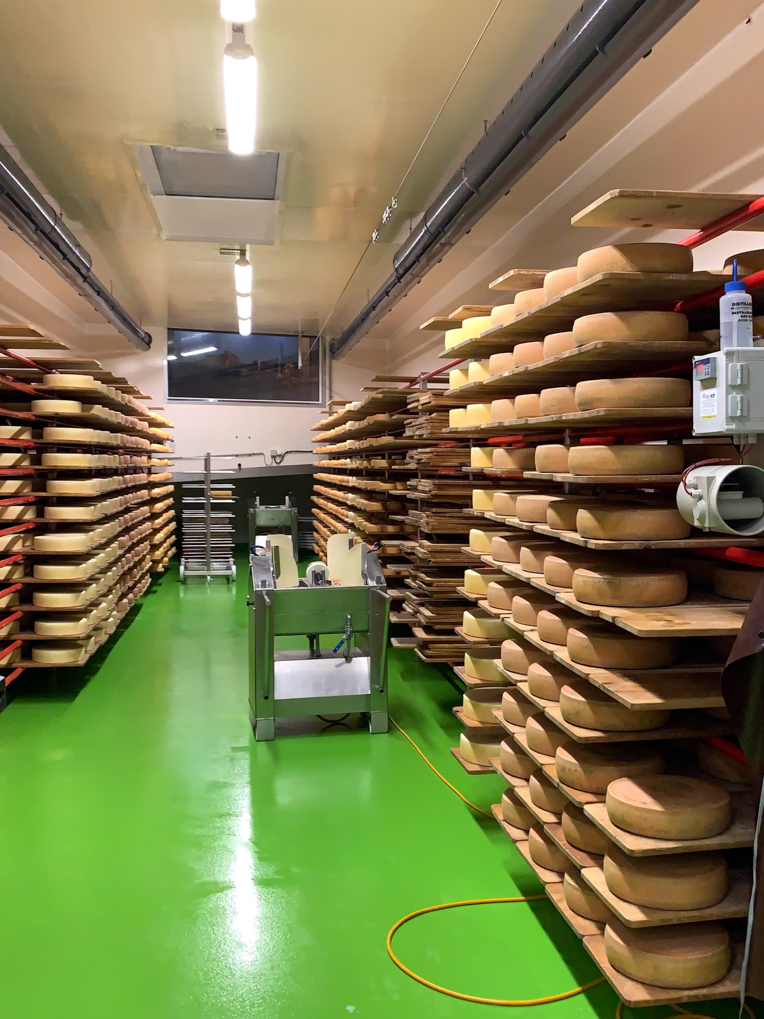 Cheese factory tour.