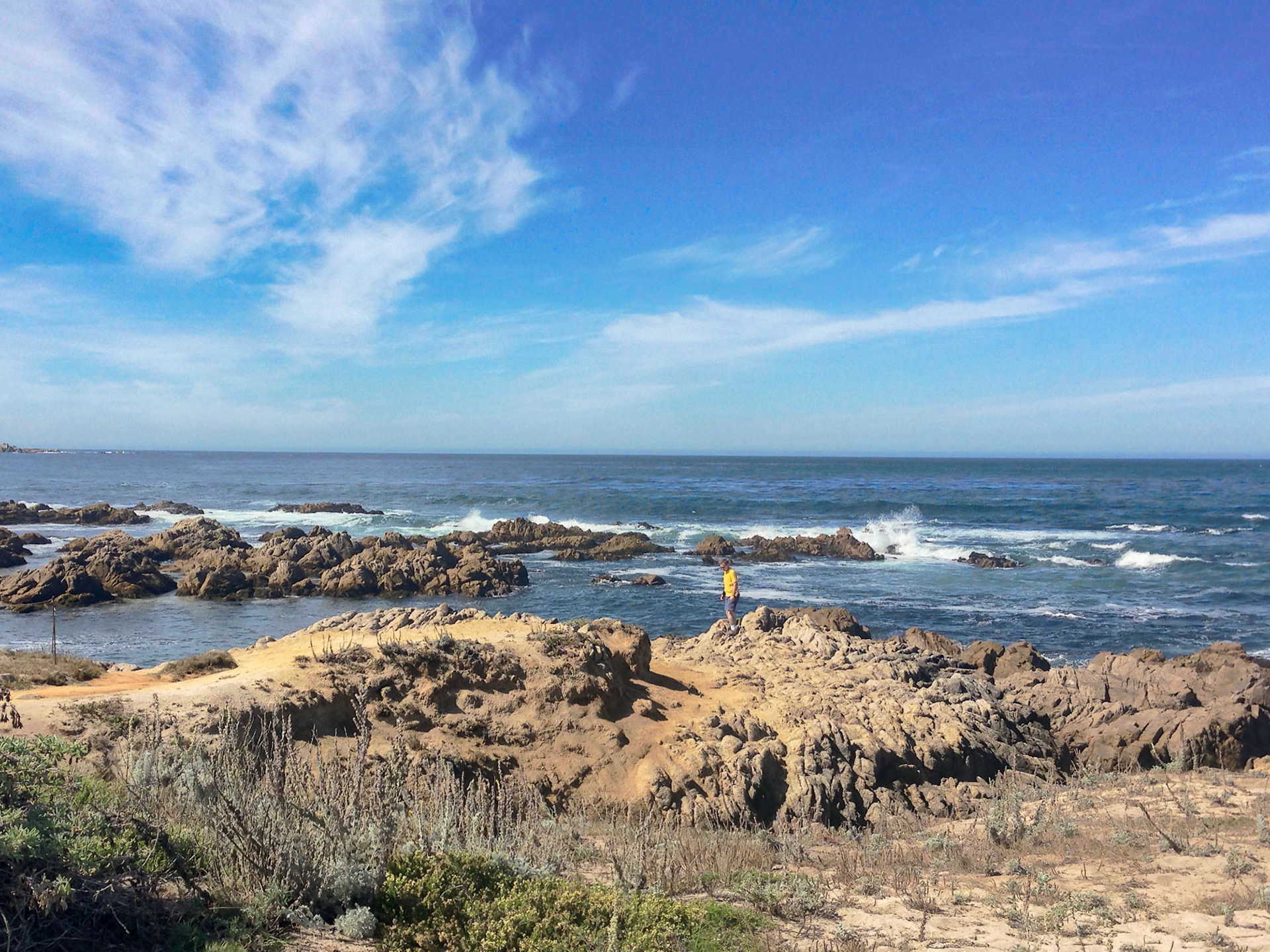 Asilomar State Beach