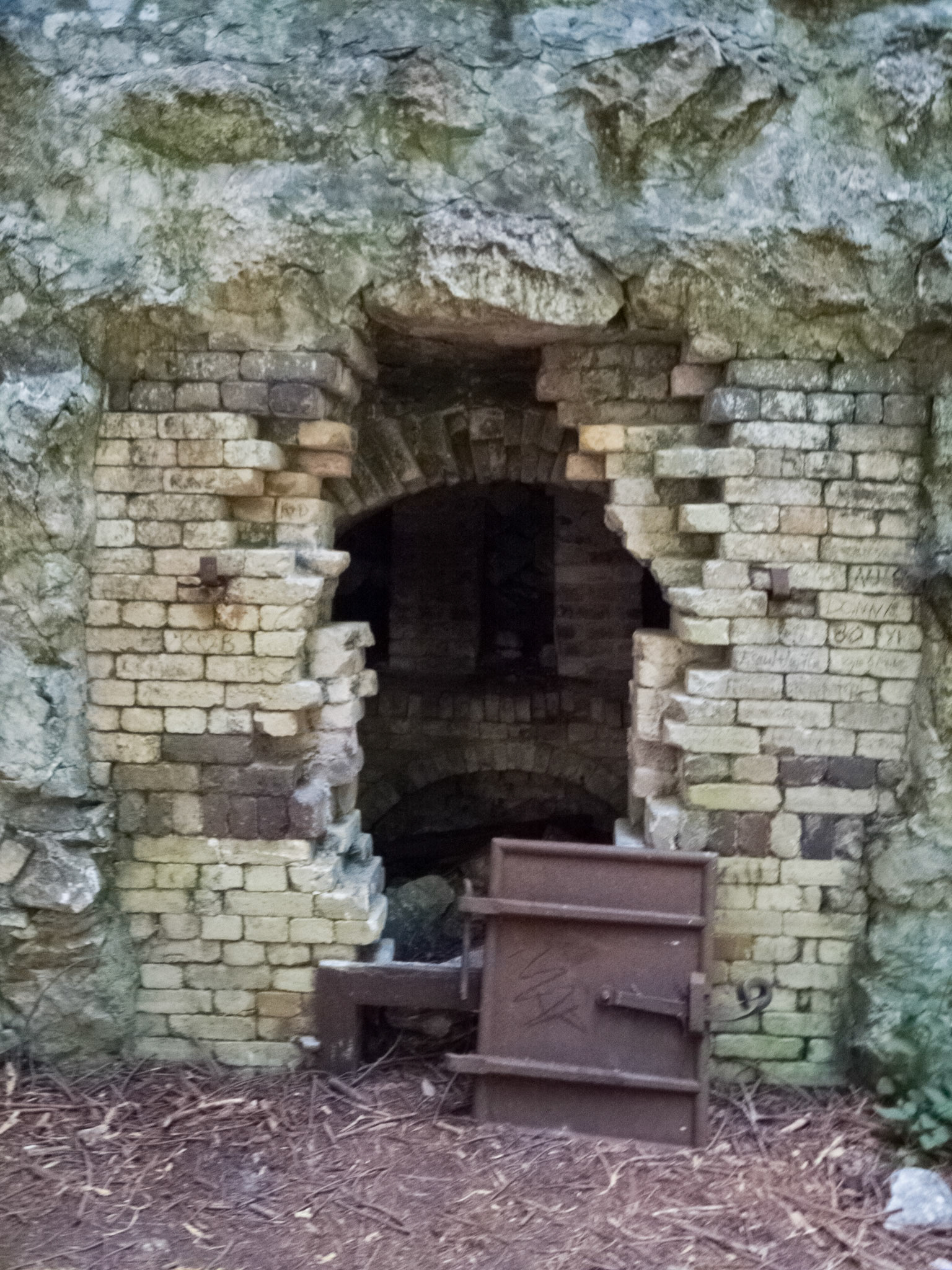 Limekiln Trails -Big Sur