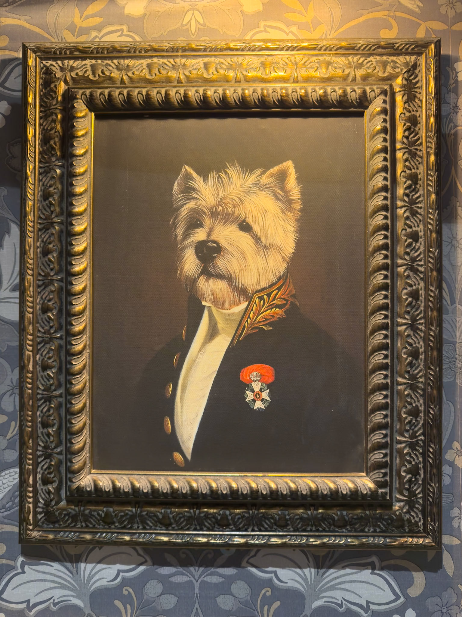 The Hayden Notting Hill