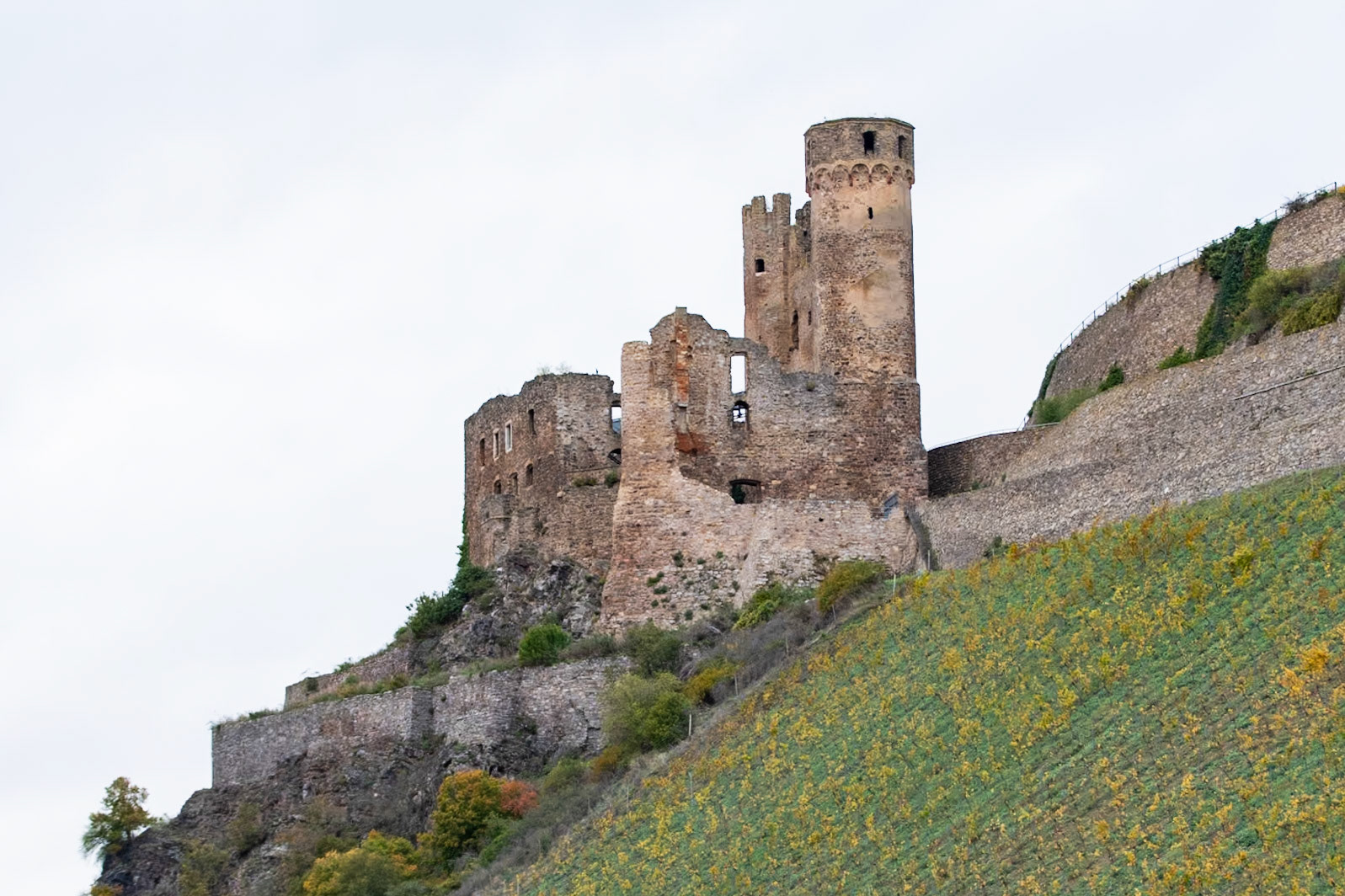 Castles Along the Rhine