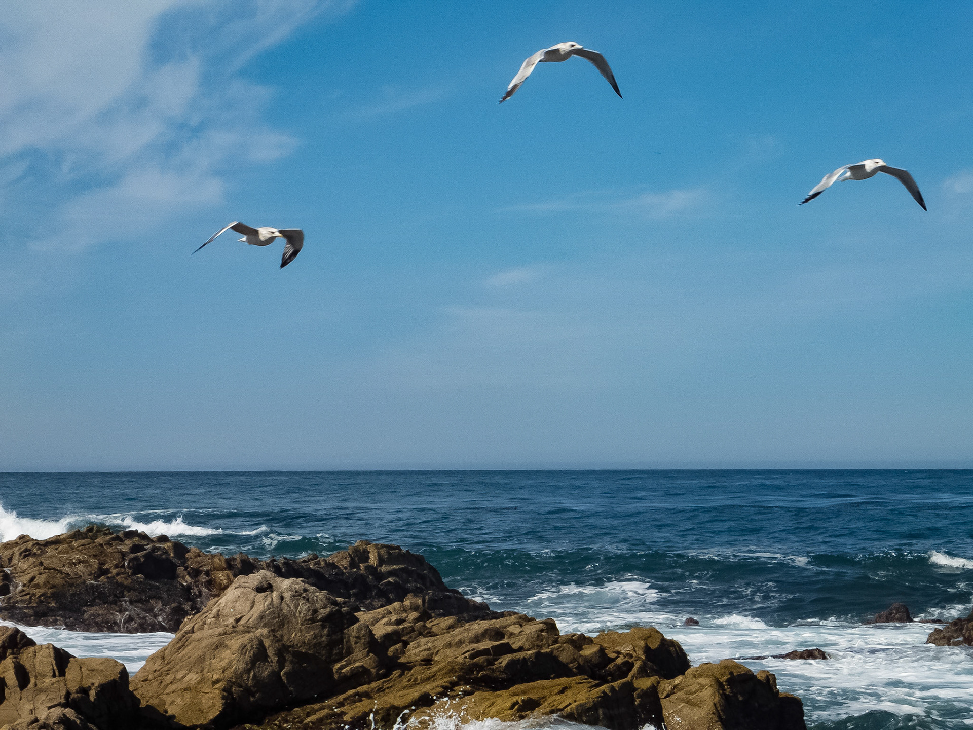 Asilomar State Beach