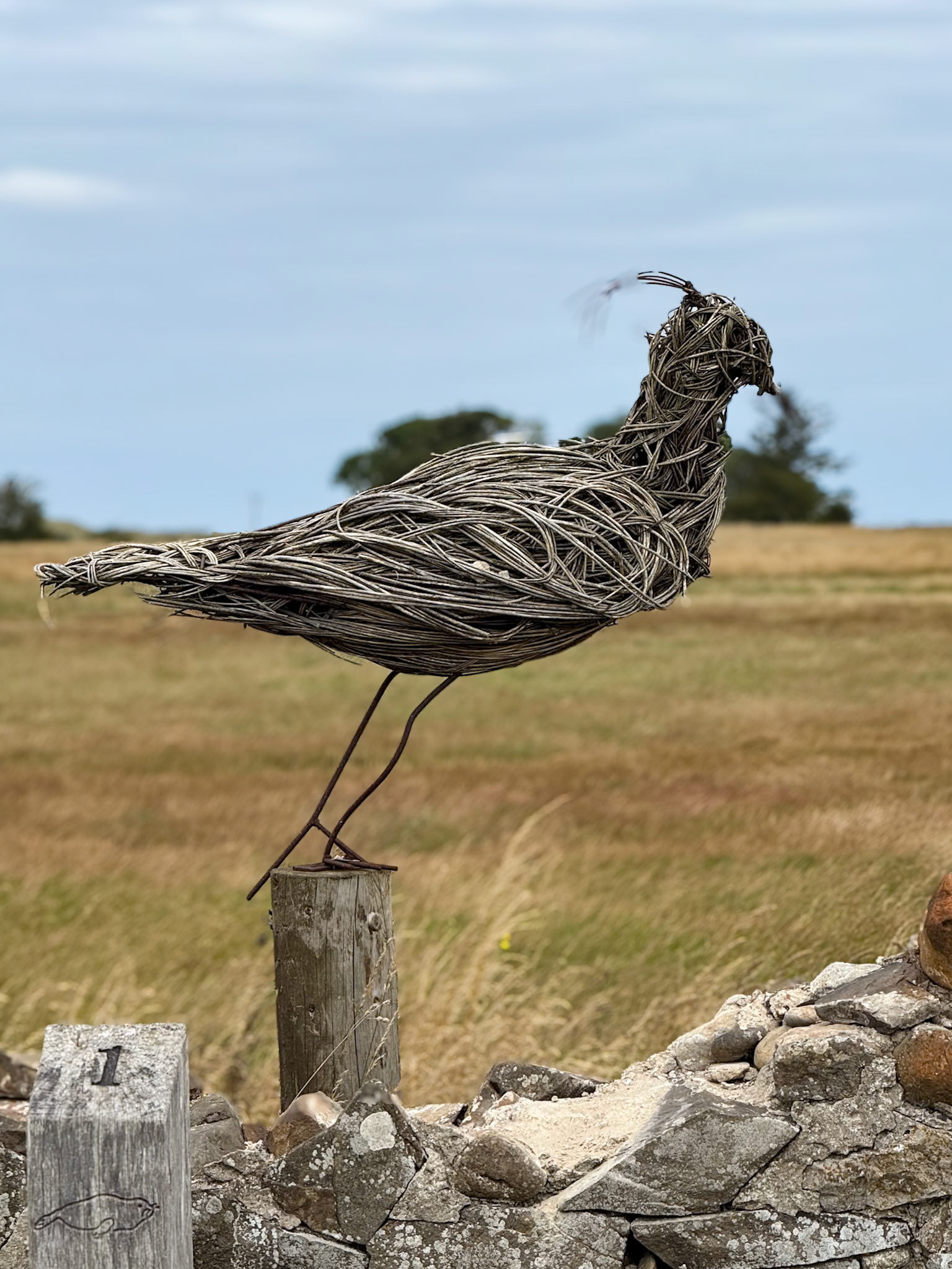 Lindisfarne Castle, Holy Island.