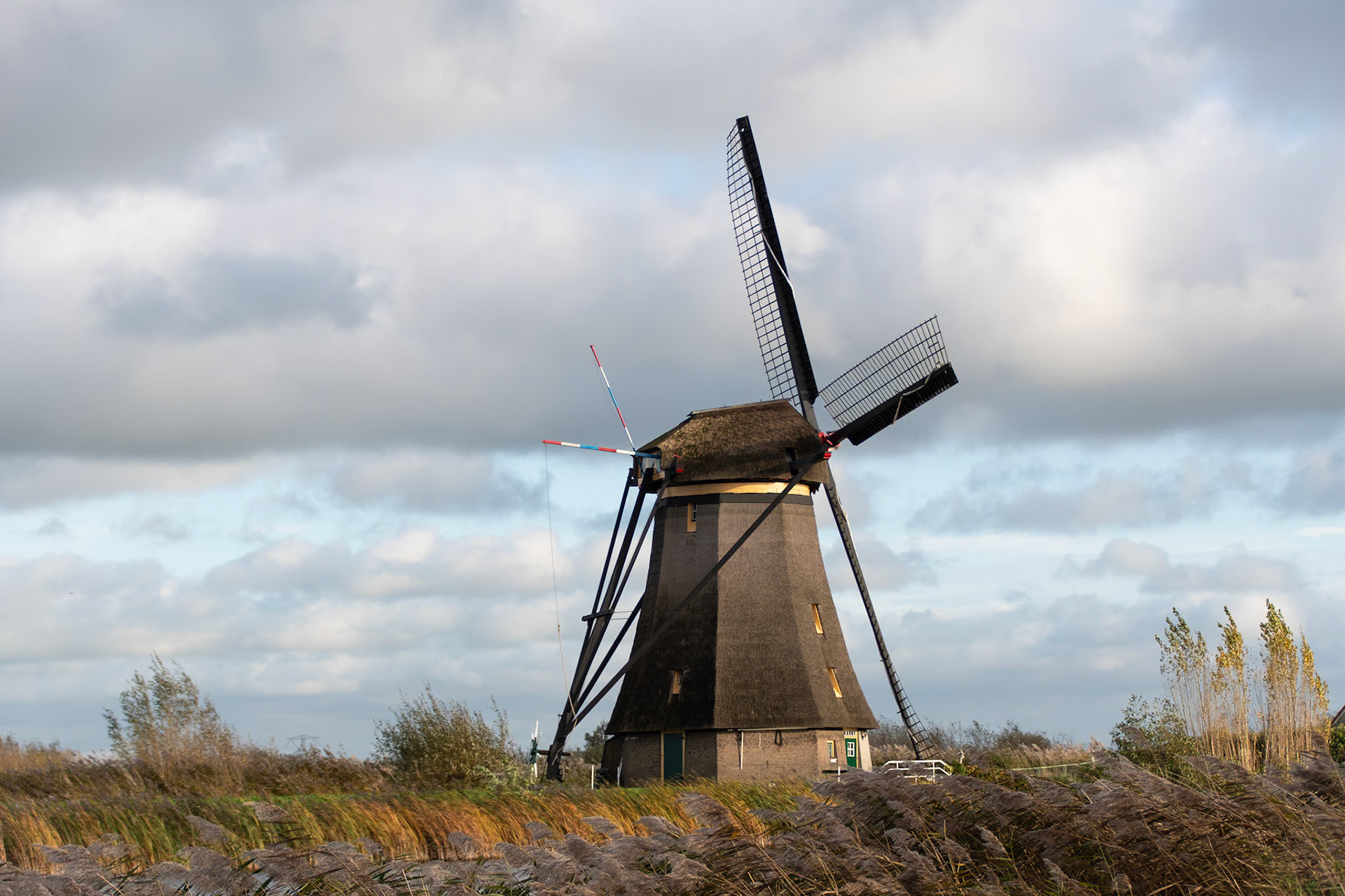 Kinderdijk Windmill Tour