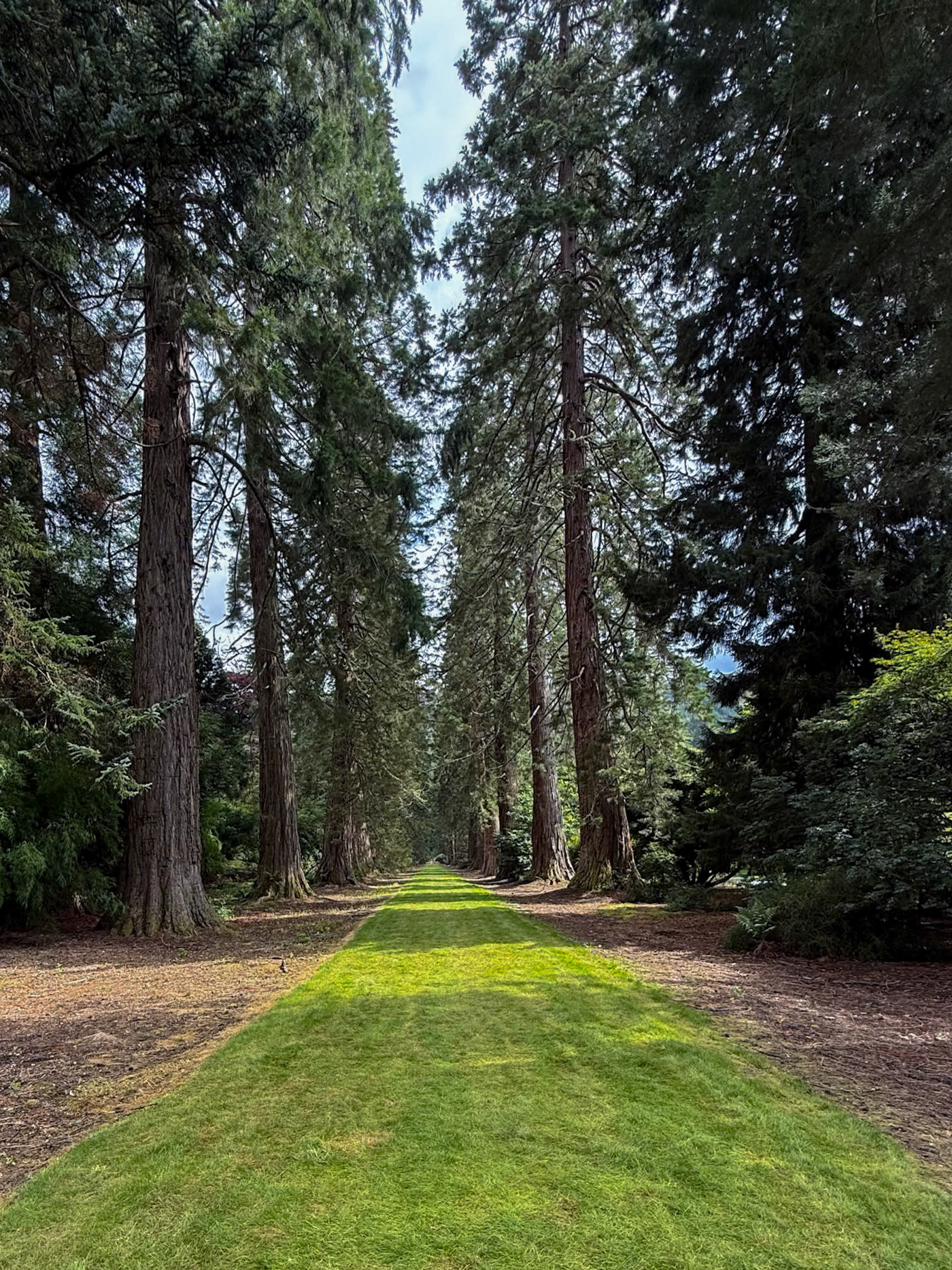 Benmore Botanic Garden.