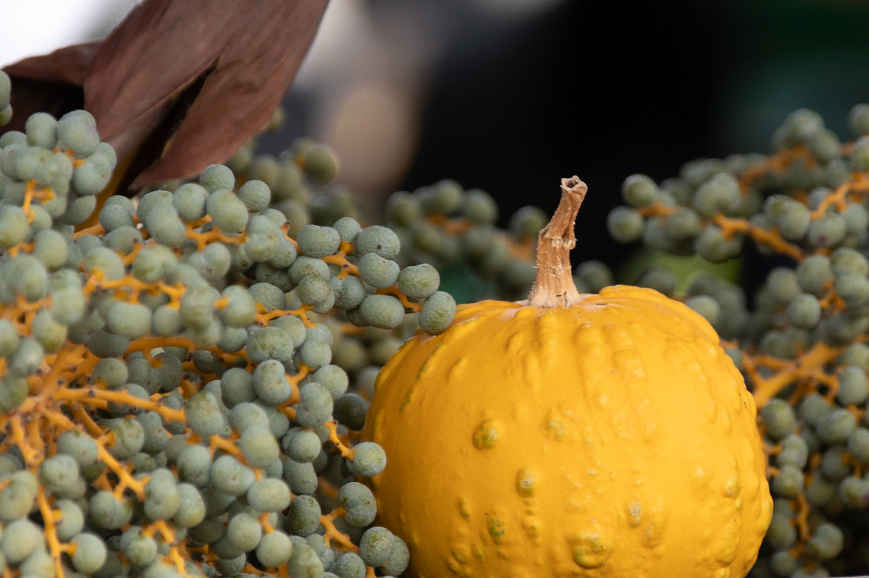 Sites around Luzerne.