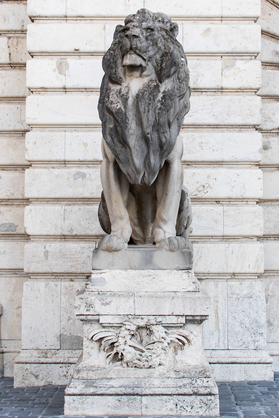 Lion Statue of the Chain Bridge - Budapest, Hungary