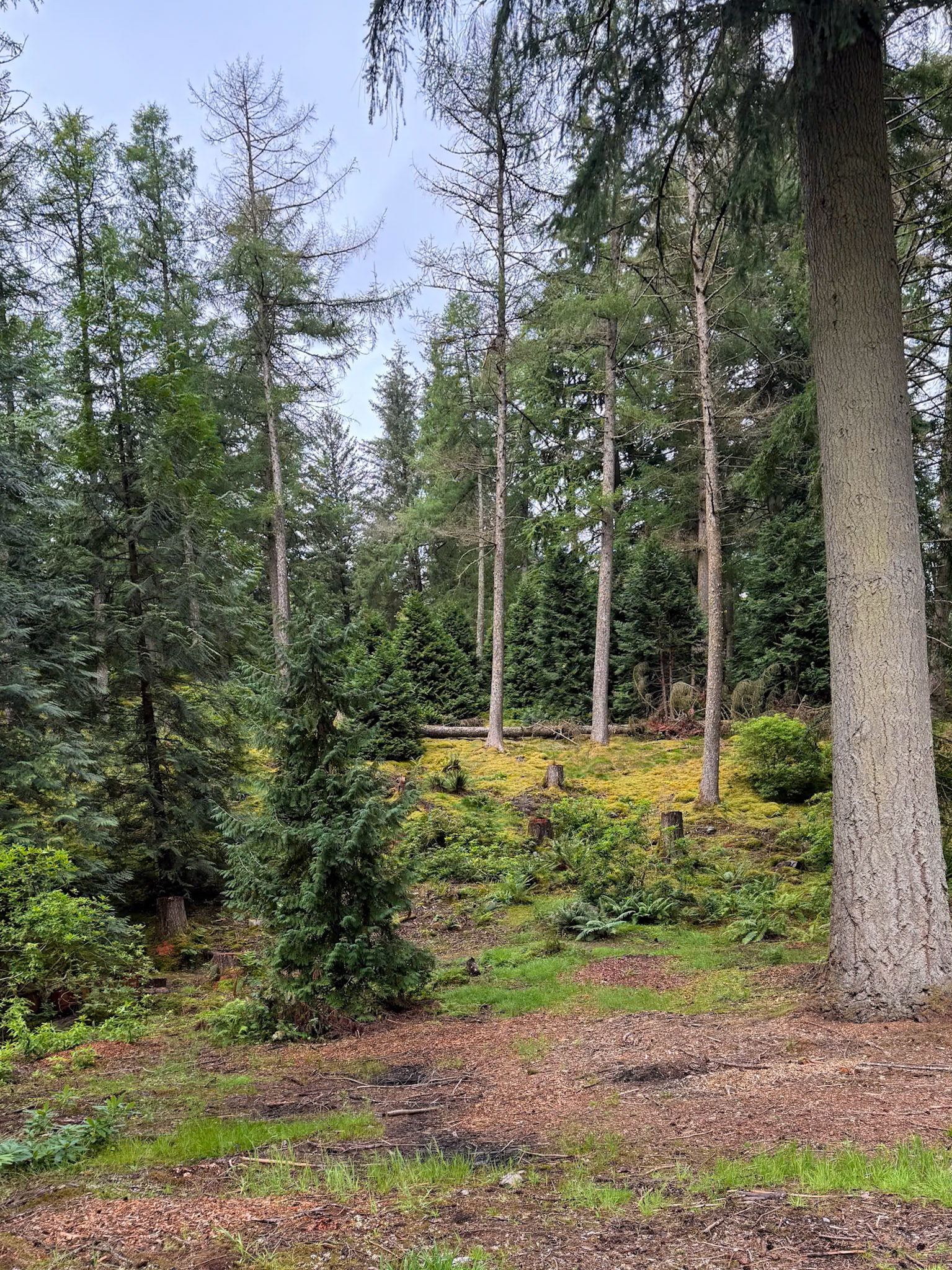 Benmore Botanic Garden.