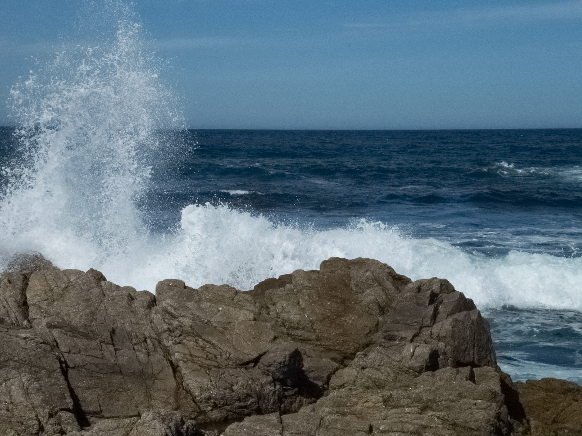 Asilomar State Beach