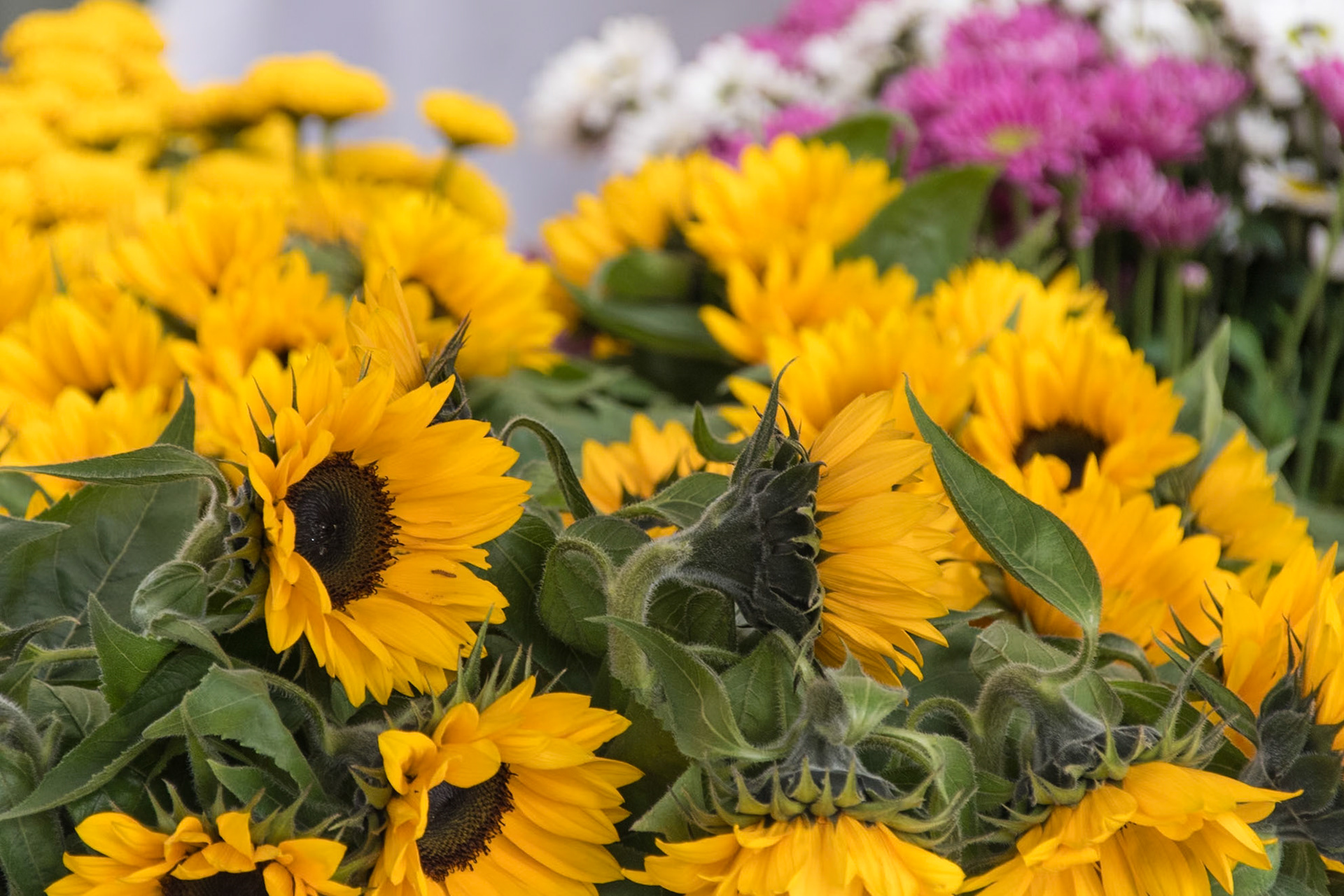 Sites around Luzerne.