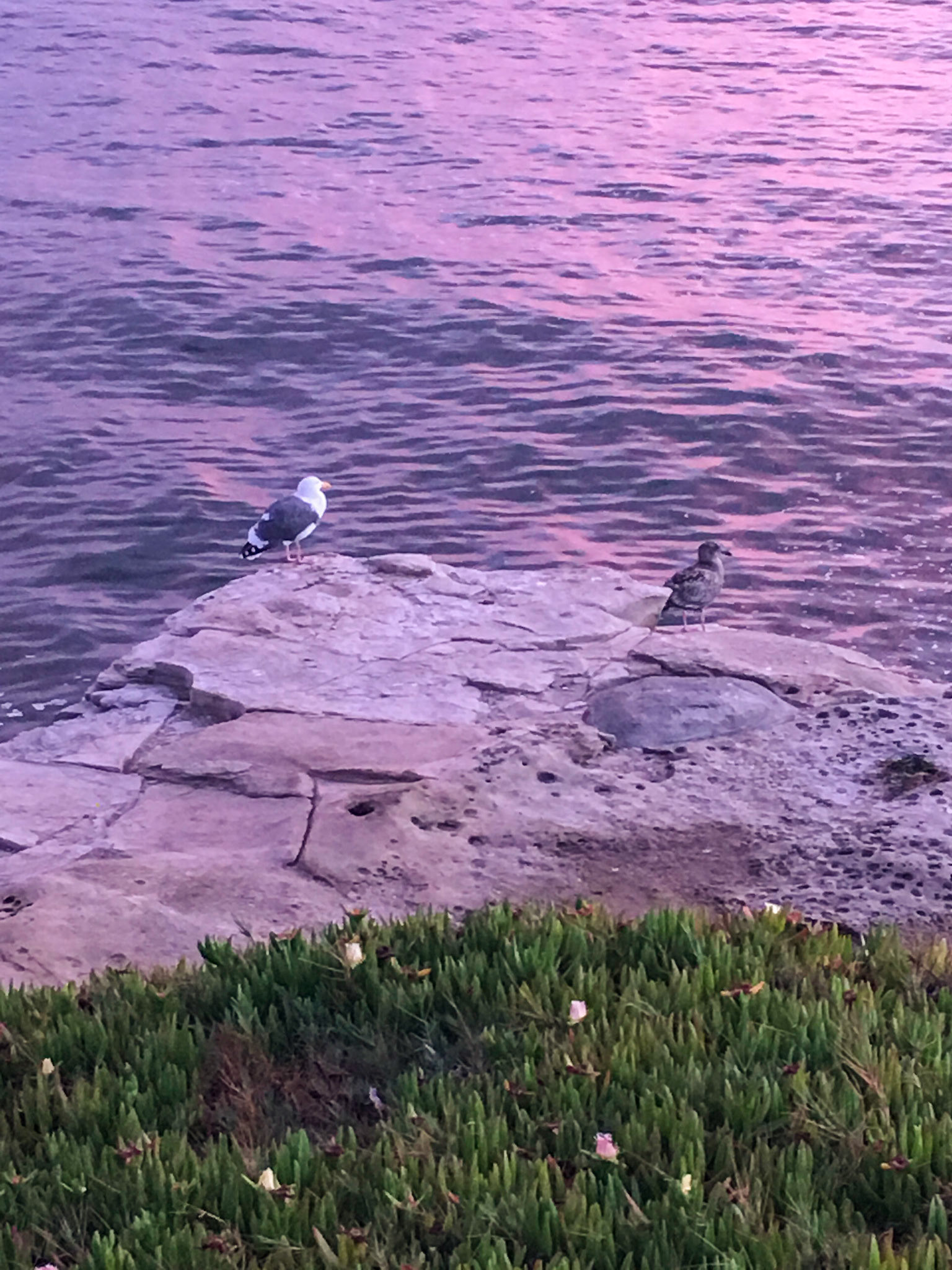 Sunset at Santa Cruz Lighthouse Beach