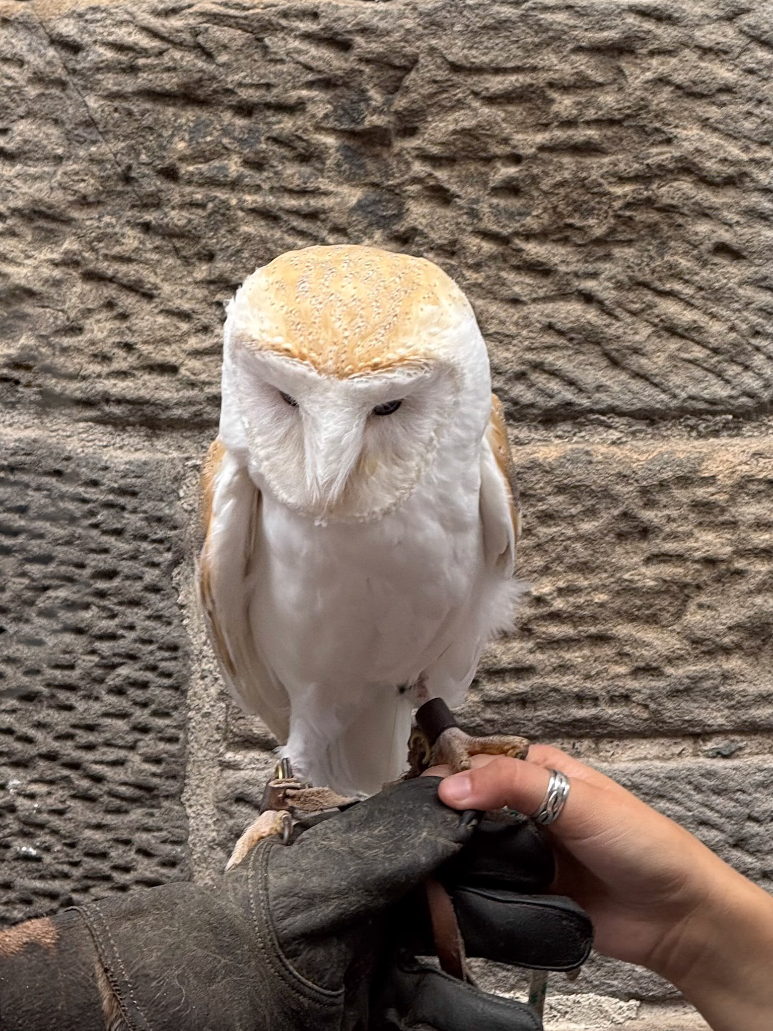 Castle Hill, Edinburgh