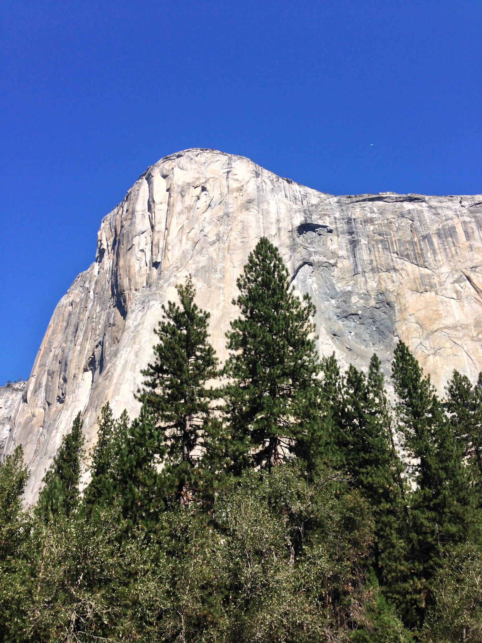 Four Mile & Panorama Trail Hike