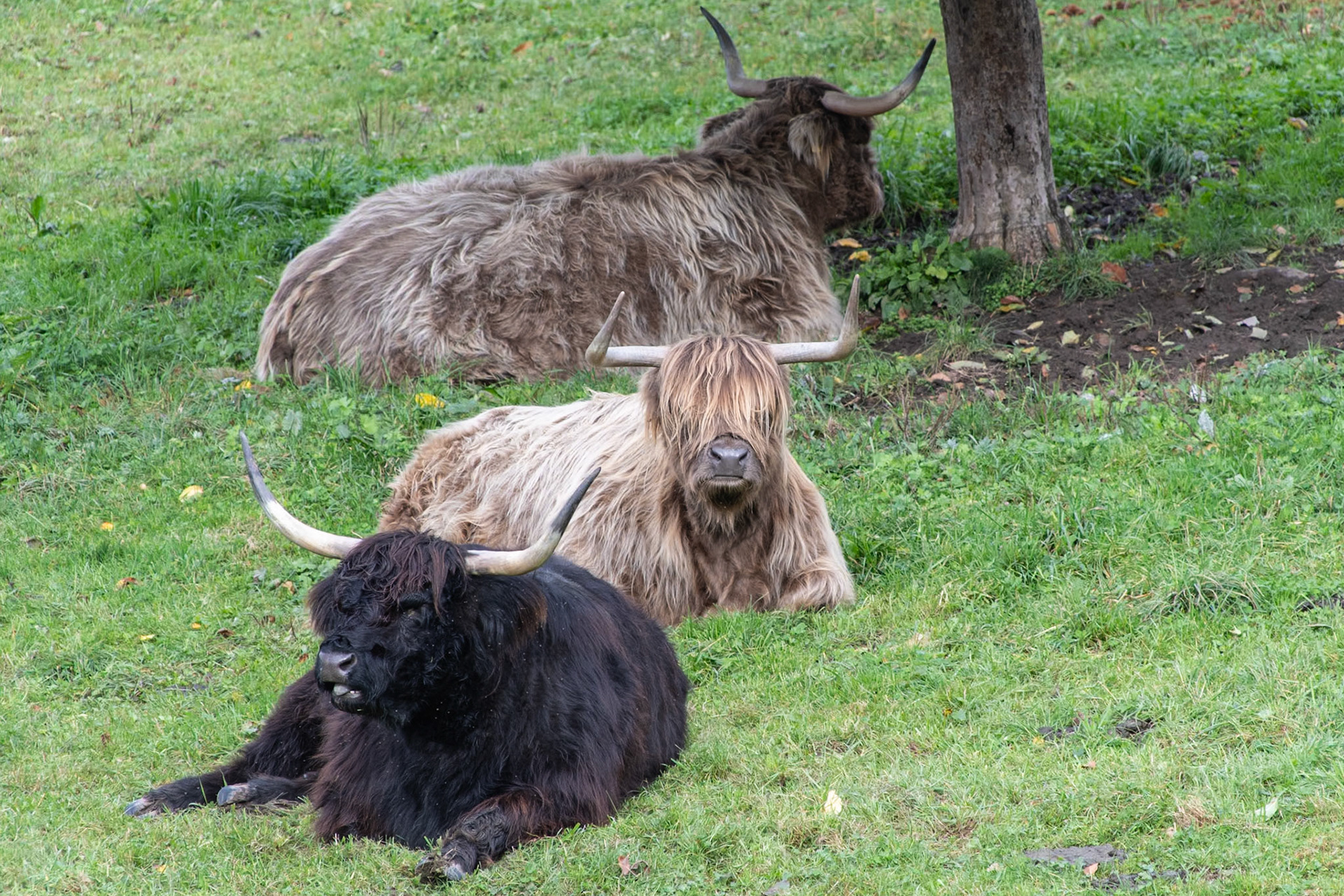 Sites around Luzerne.