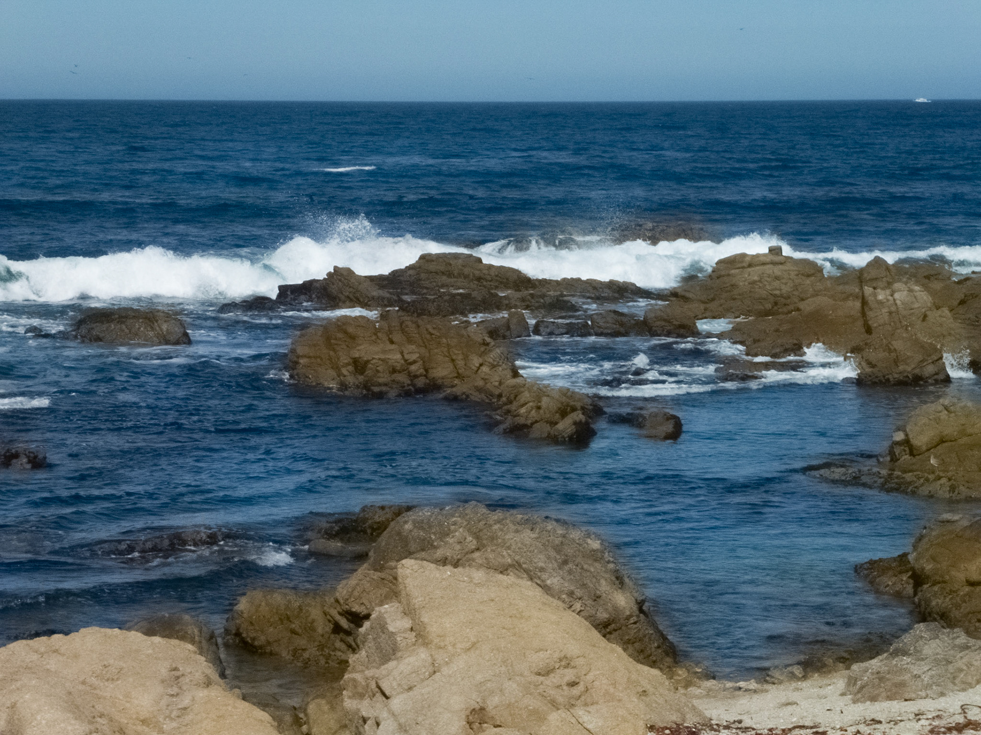 Asilomar State Beach
