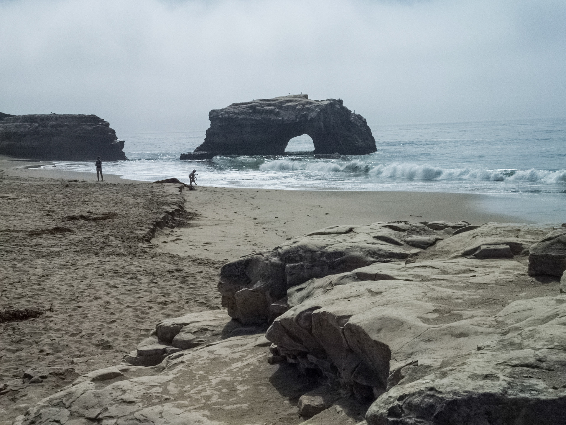 Natural Bridges State Beach