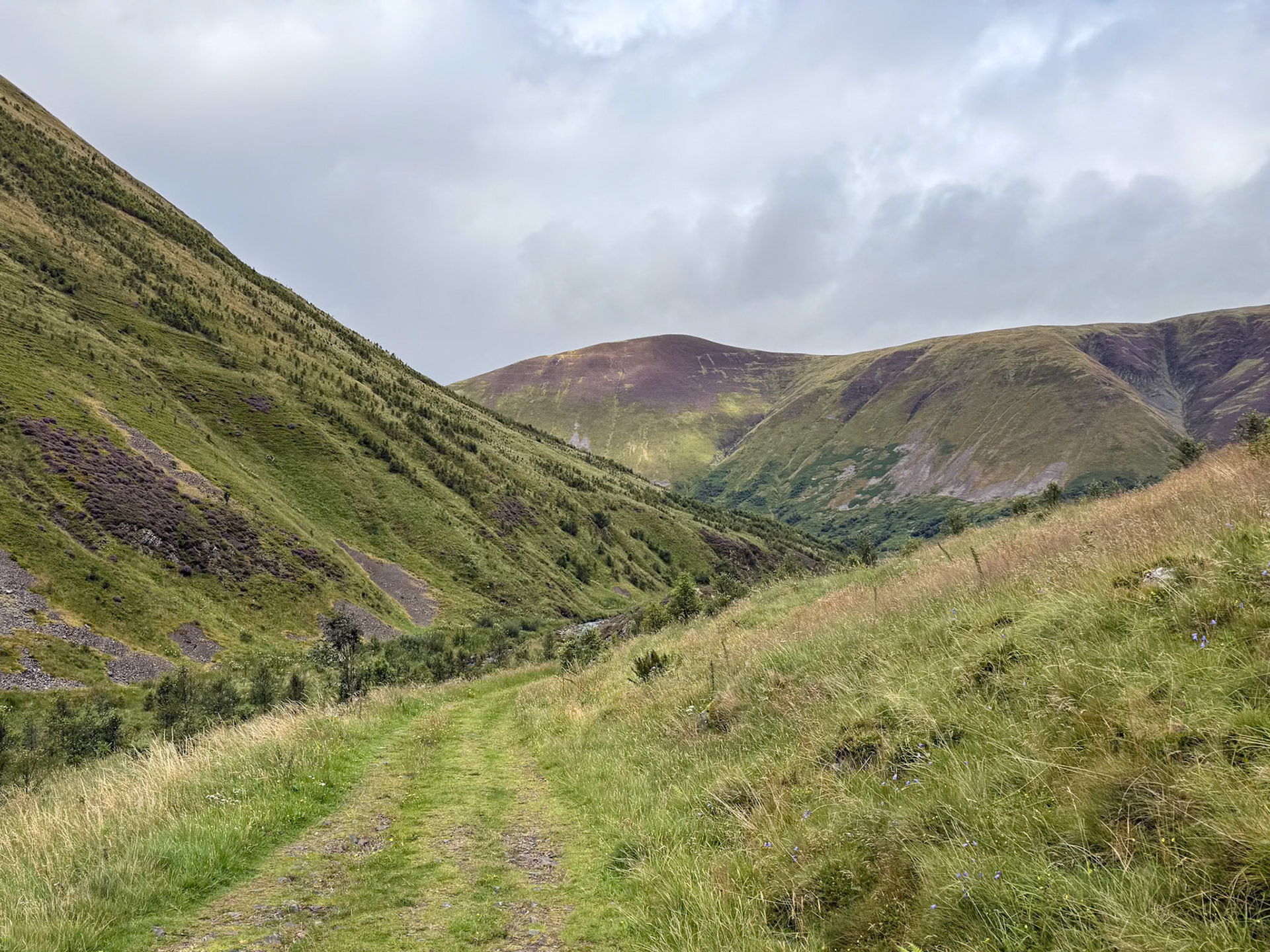 Dollar Law, Scotland