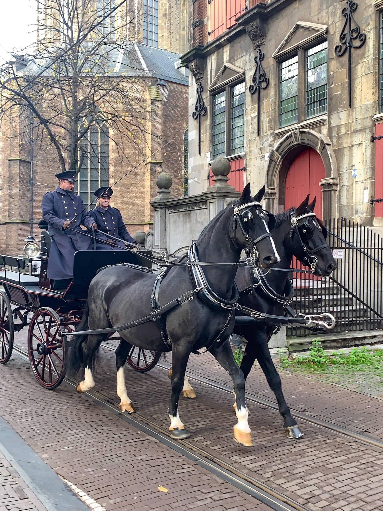 The Hague Walking Tour